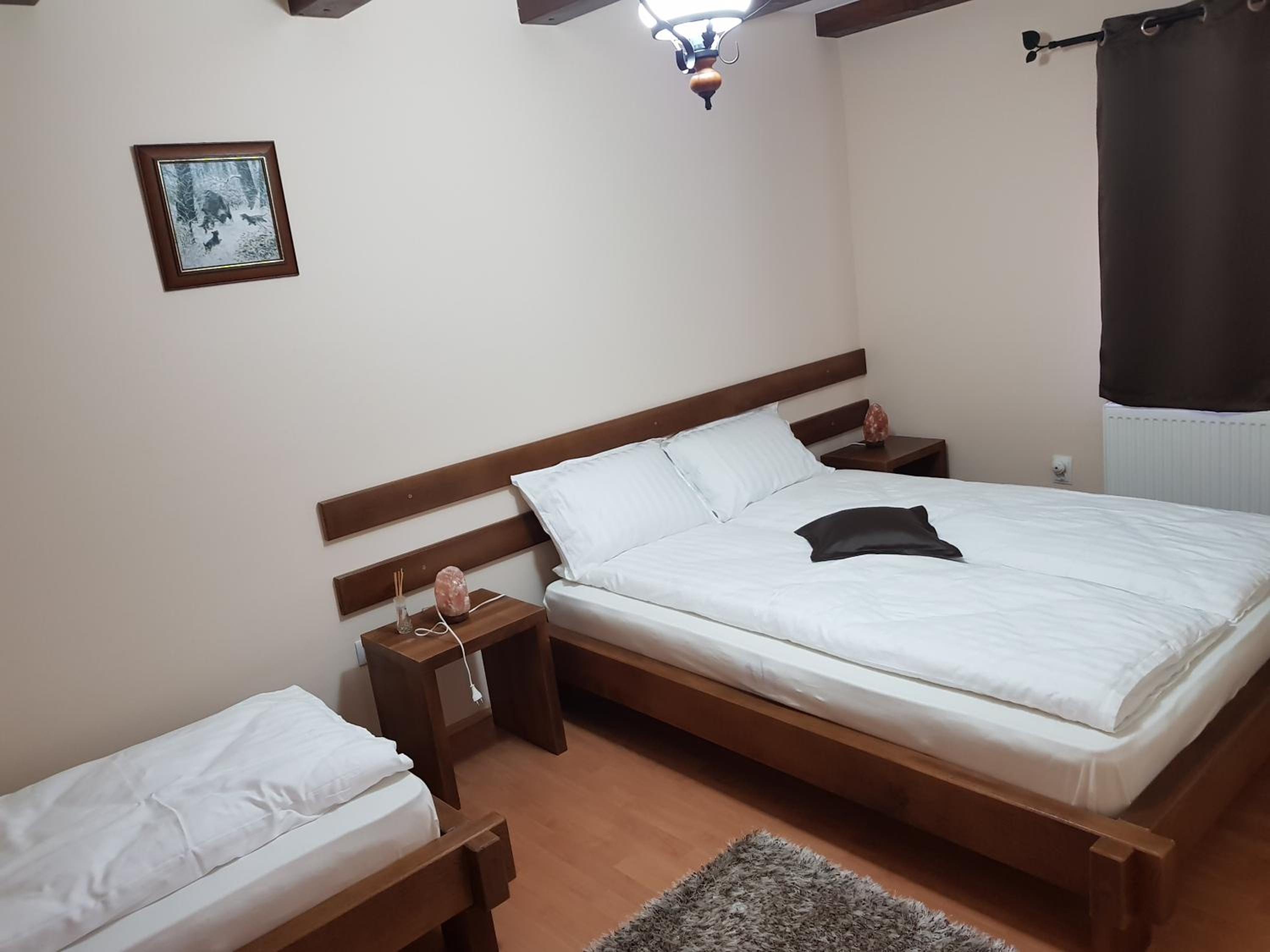 Cabana Vânătorilor din Valiug view 3