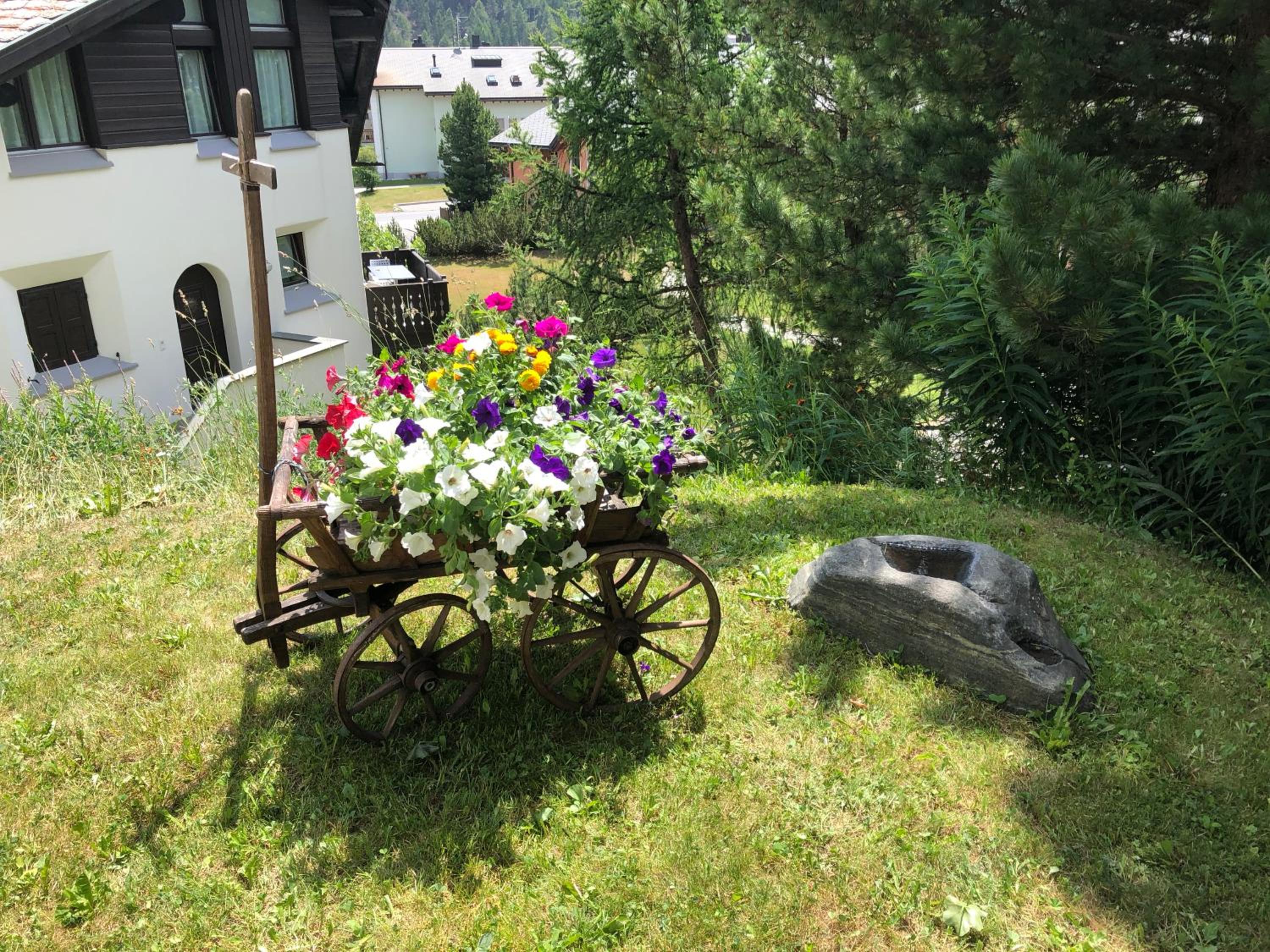 Photo 47