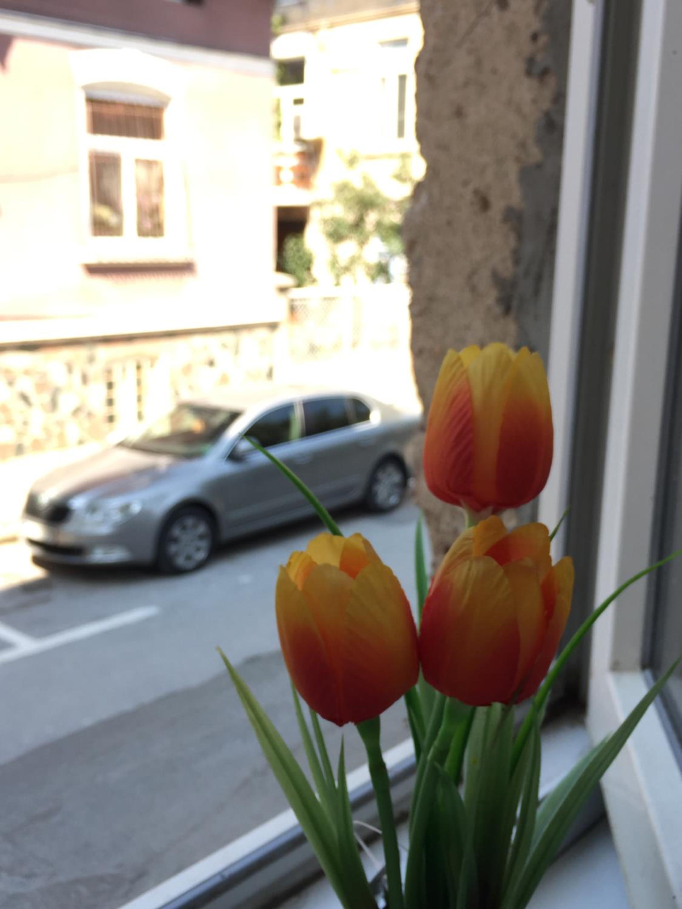 Photo 30
