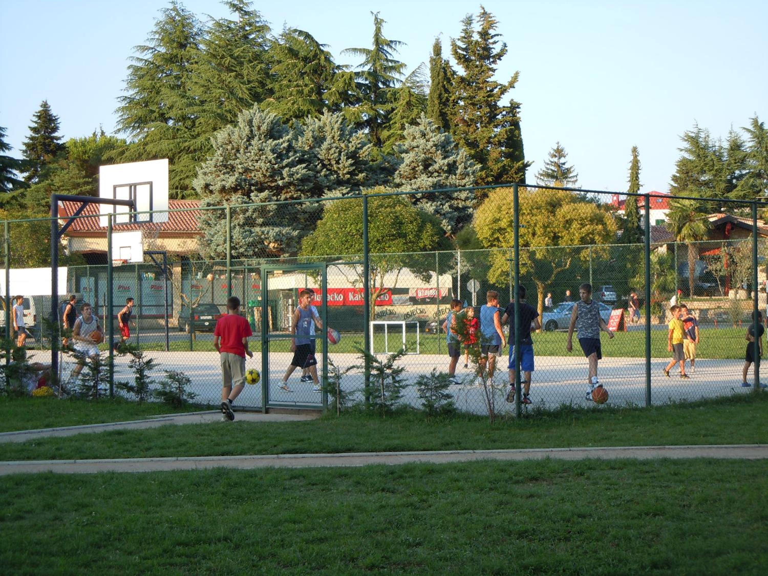 Photo 12