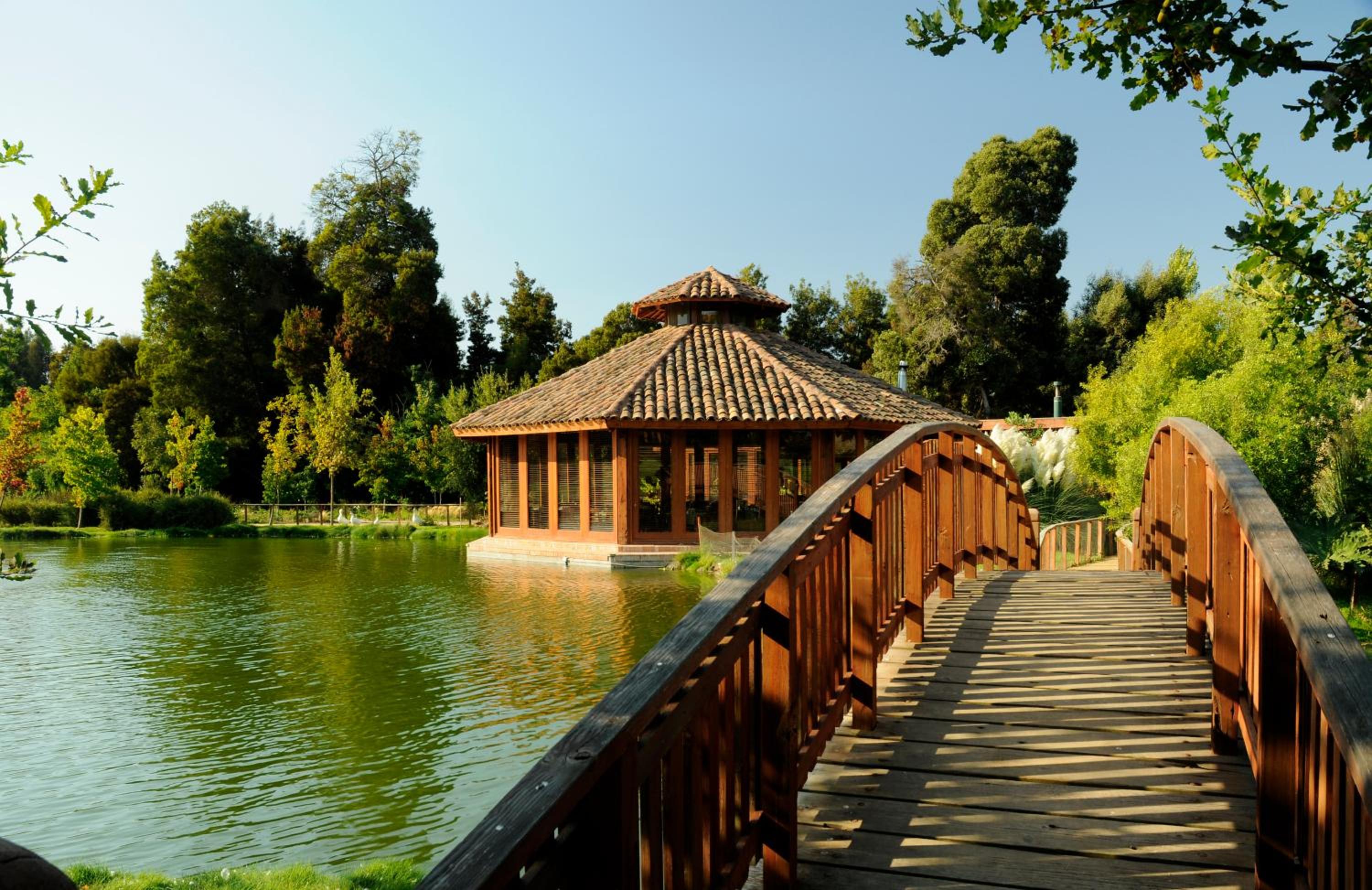 La Casona At Matetic Vineyards
