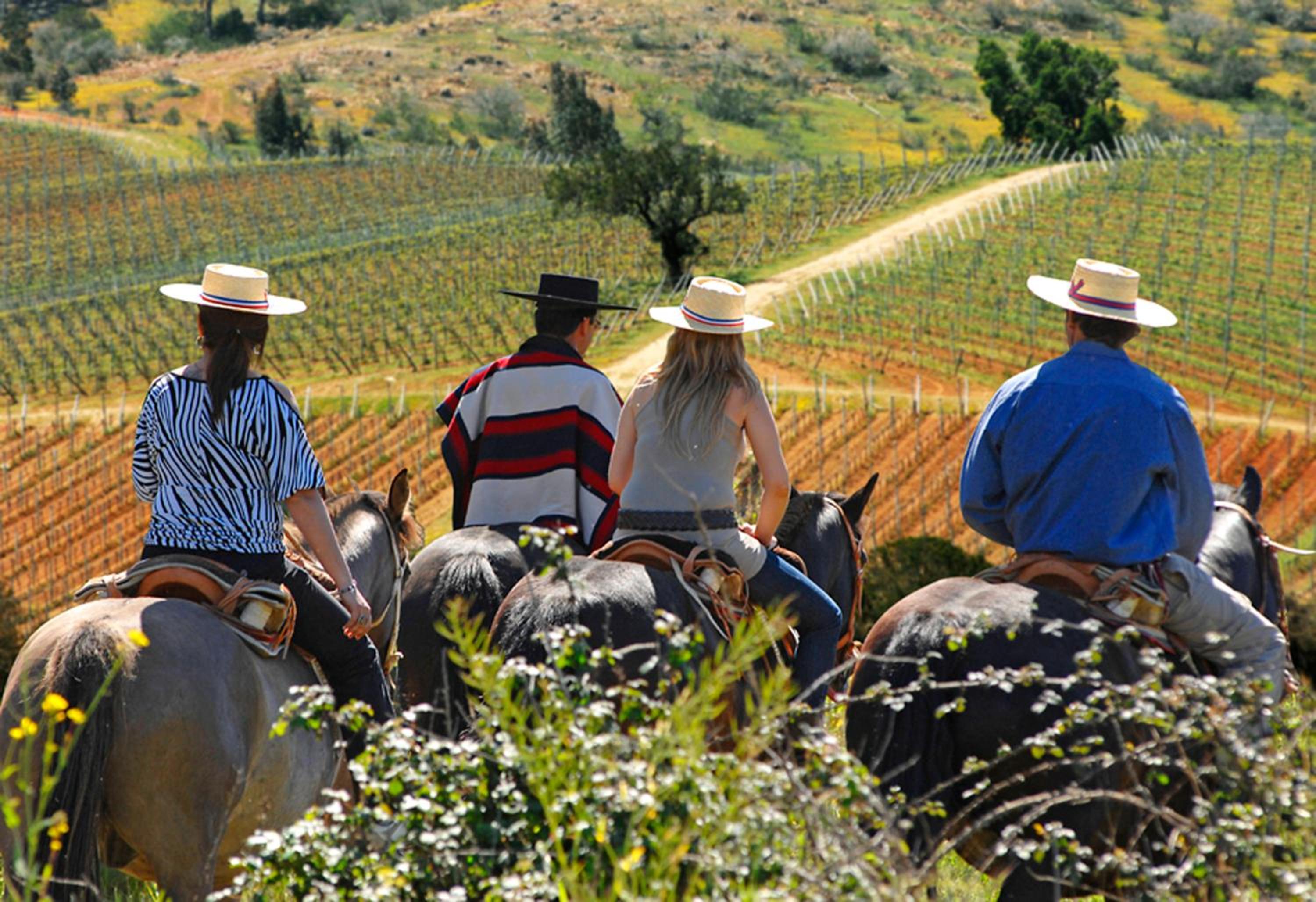 La Casona At Matetic Vineyards