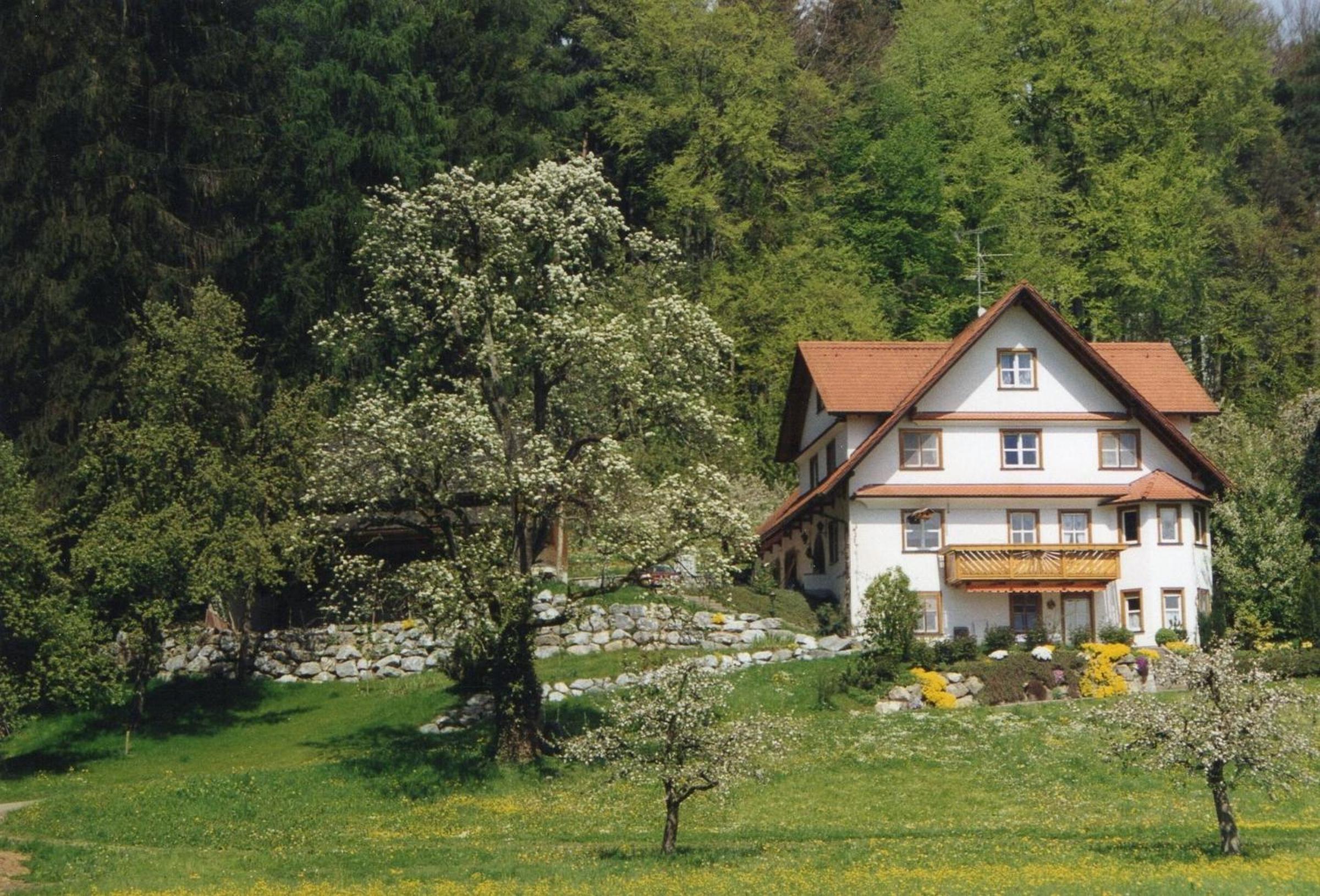 Ferienwohnung Sonnenschein view 3