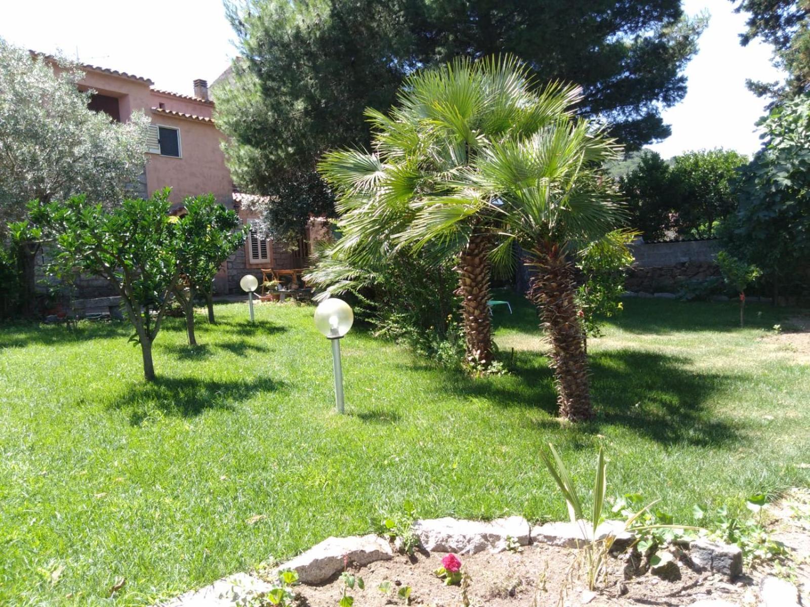 Photo 22