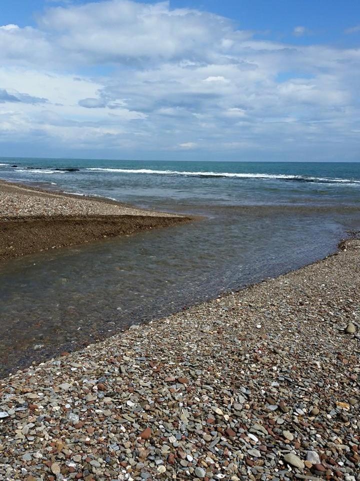 Photo 45