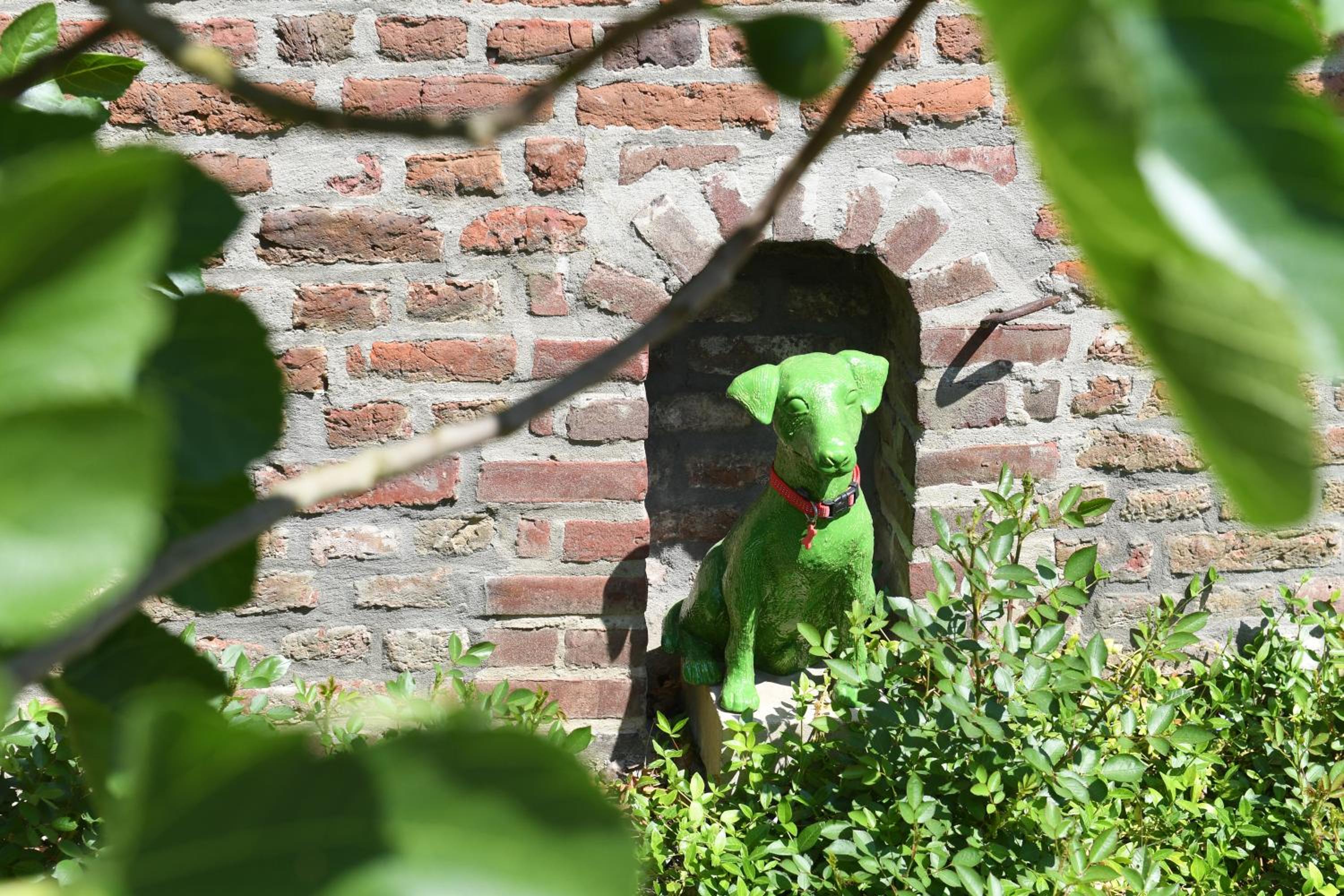 Photo 6