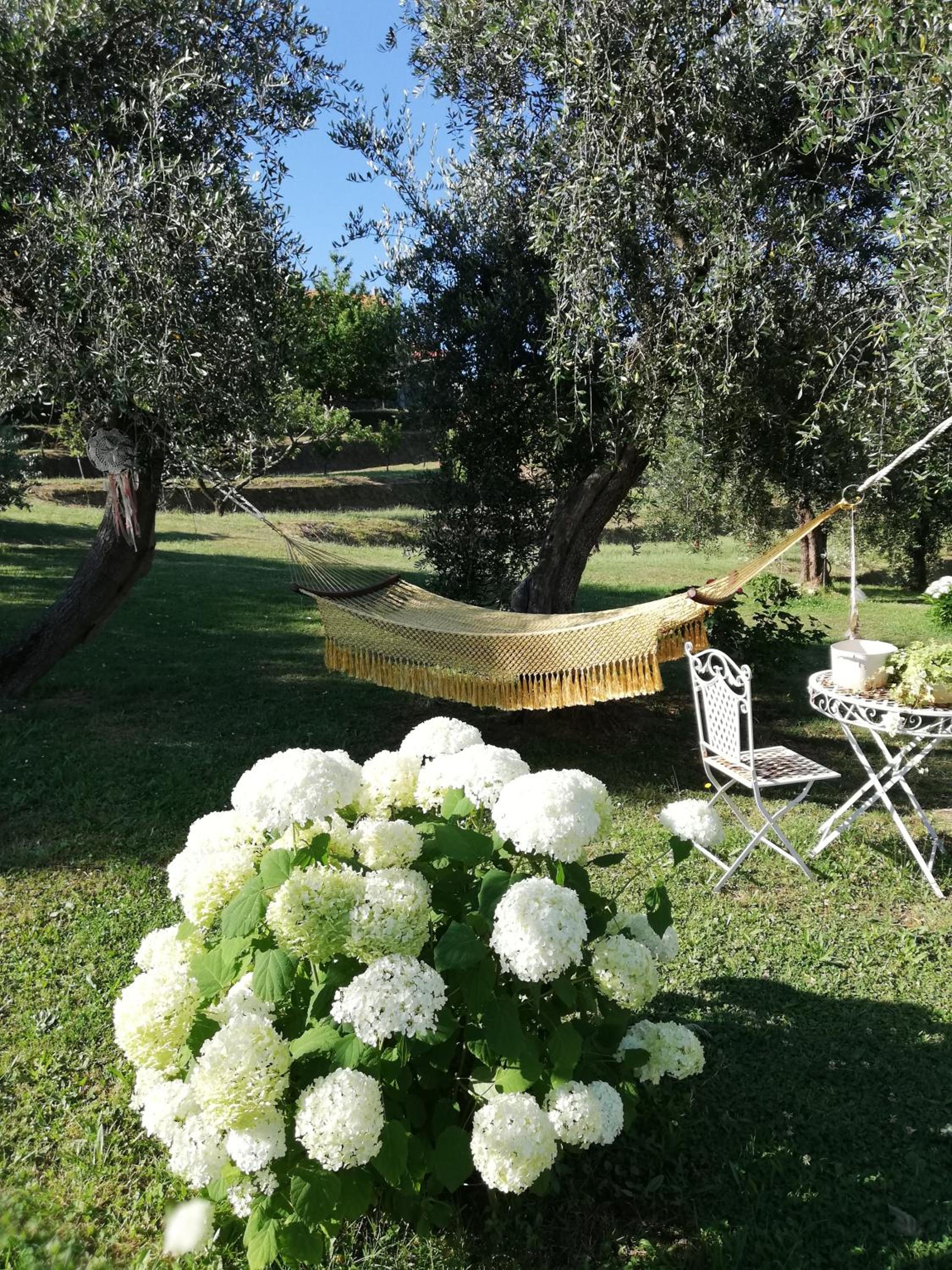 Photo 39