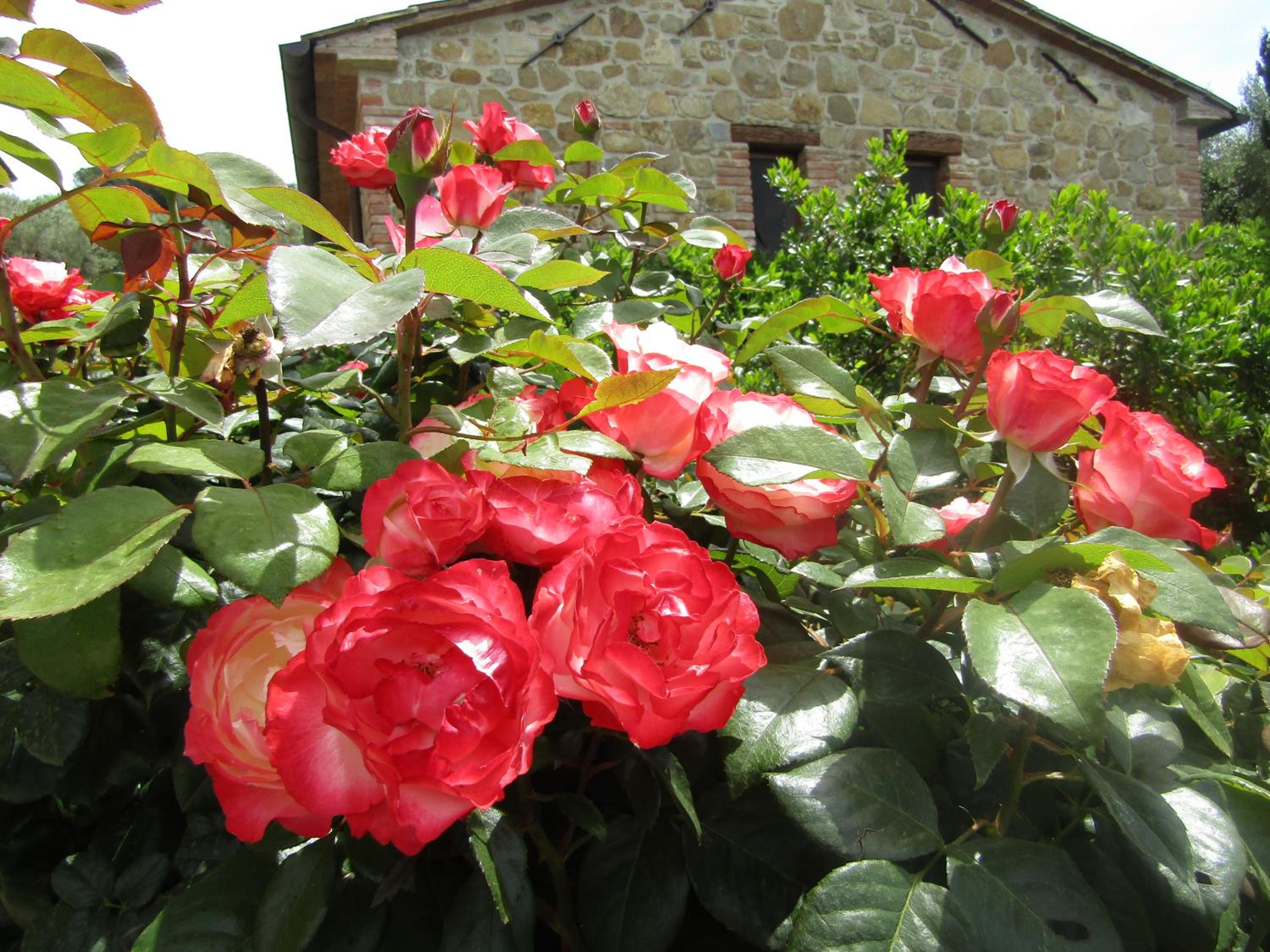Photo 22