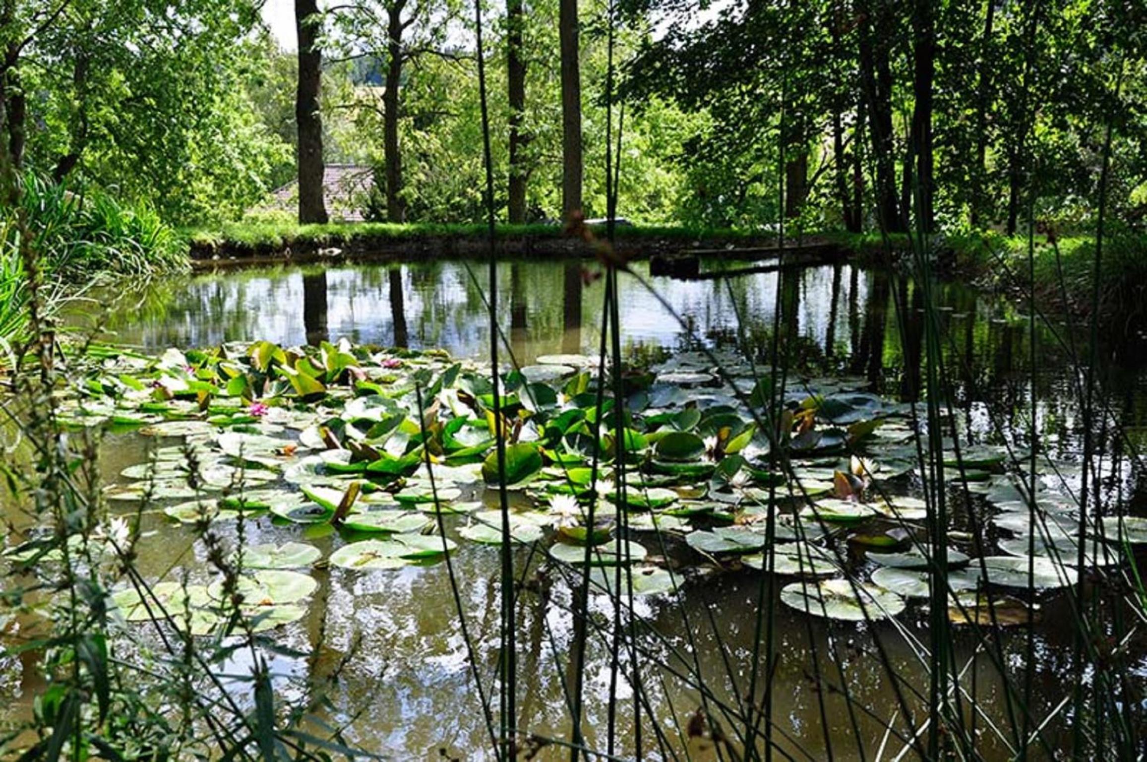 Landhausgarten Bunzmann