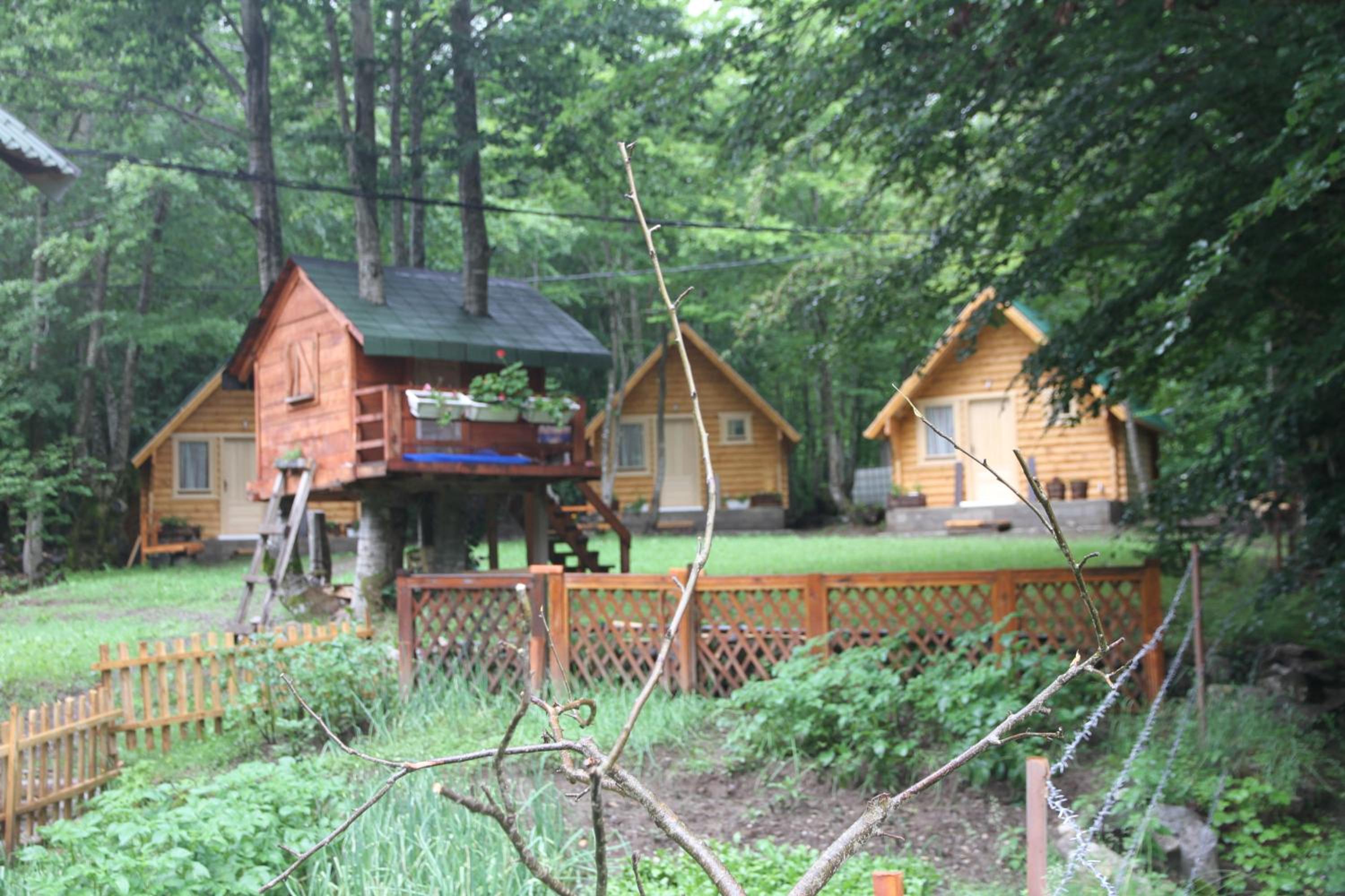 Photo 27