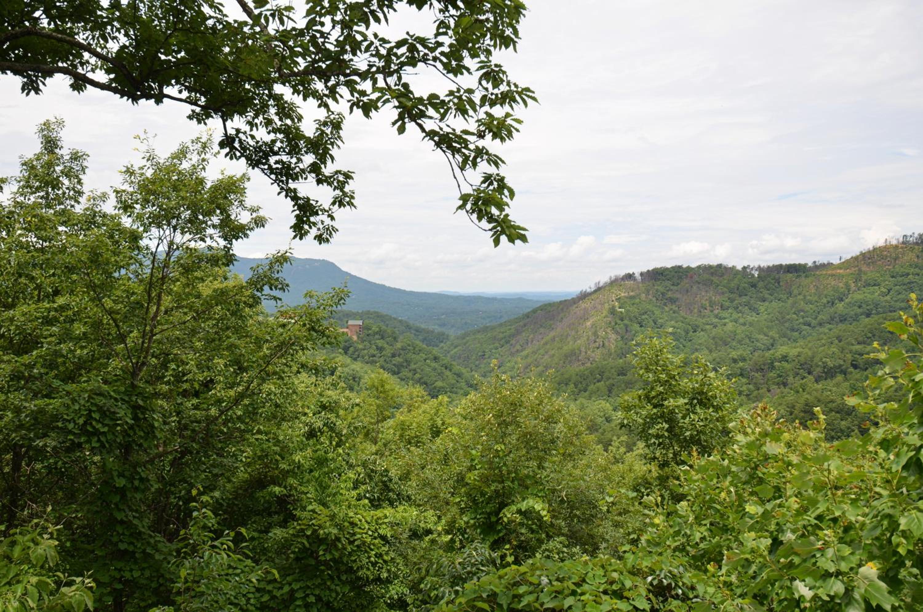 Love Shack view 5