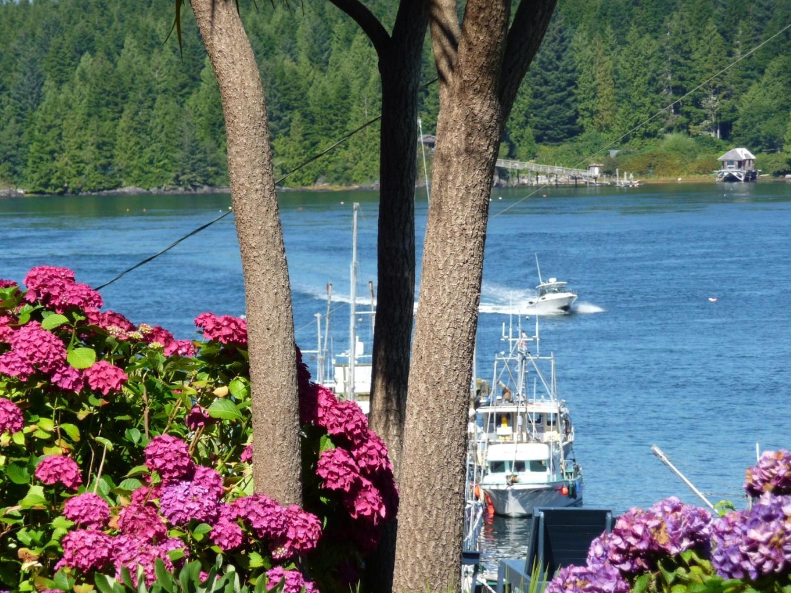 Tofino Motel Harbourview