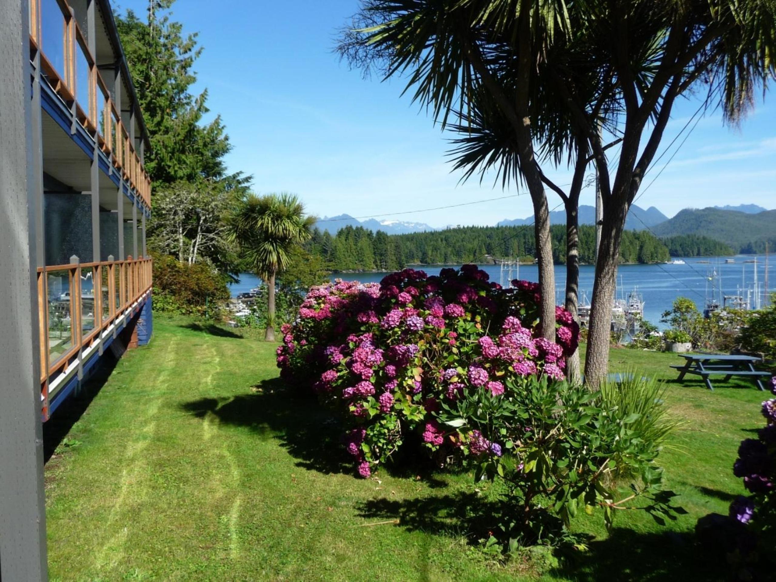 Tofino Vacations - Tofino Motel Harborview - Property Image 12