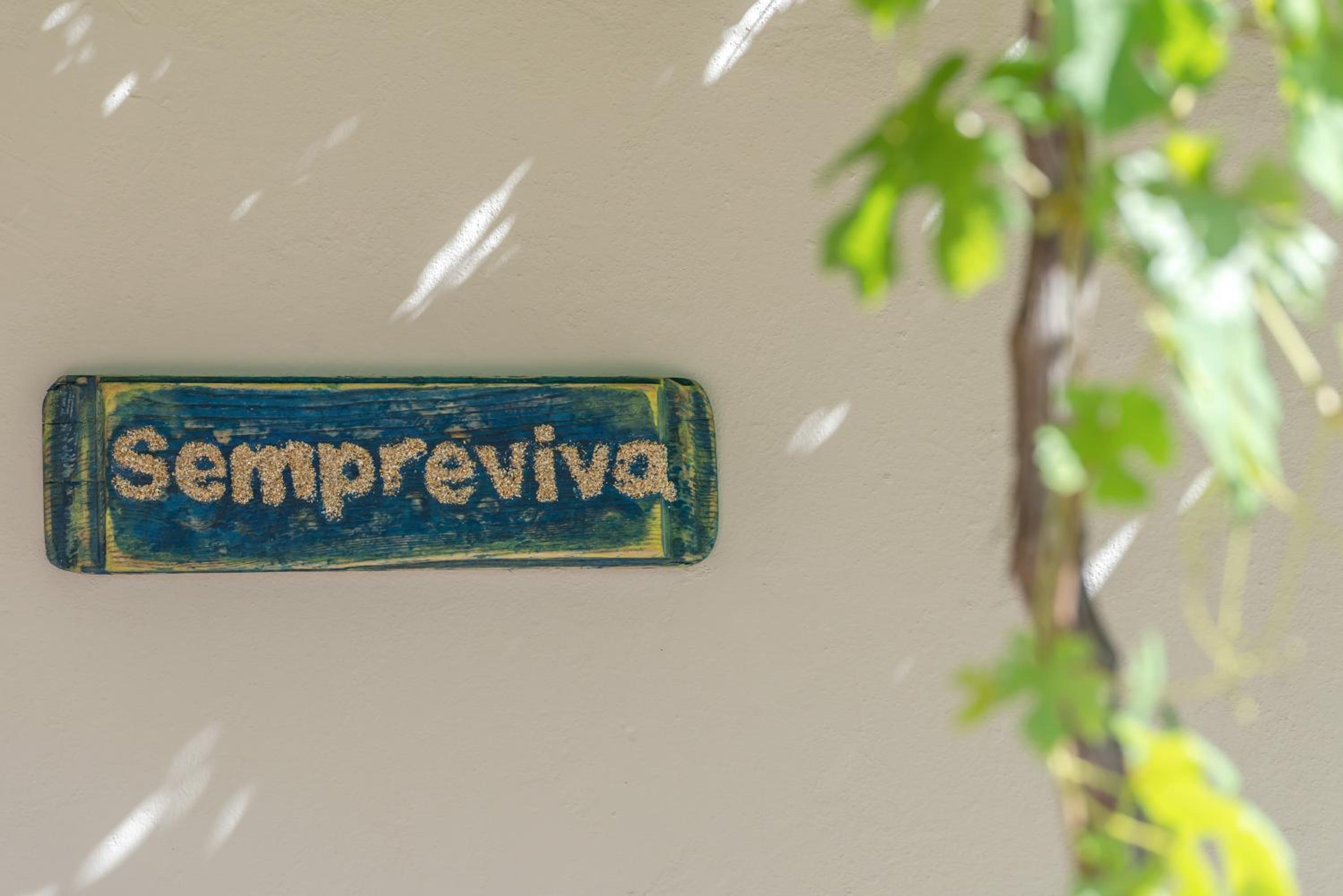Sempreviva