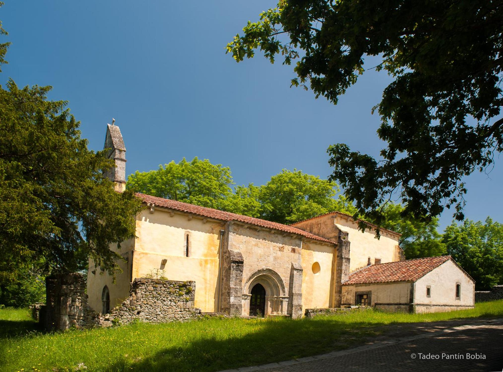 Photo 45