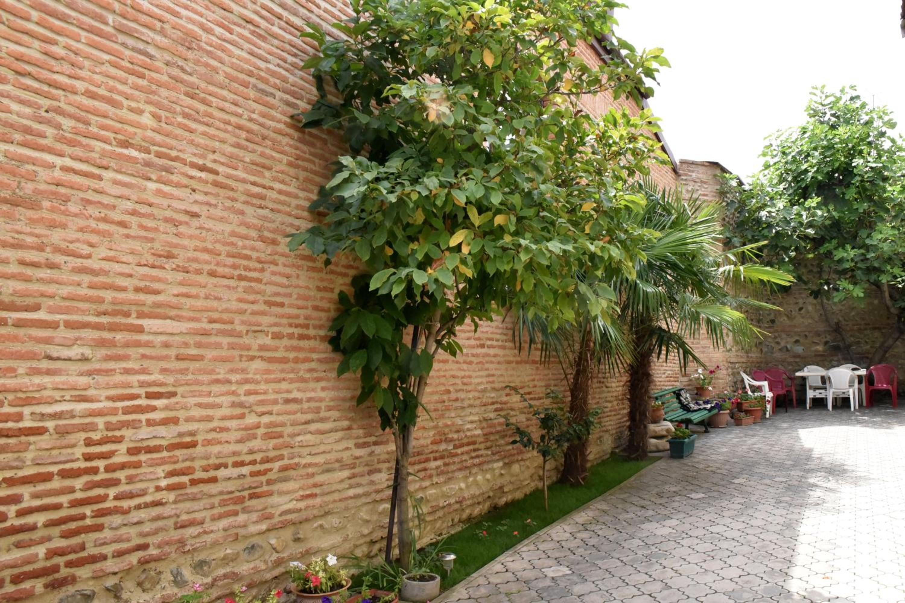 Photo 7