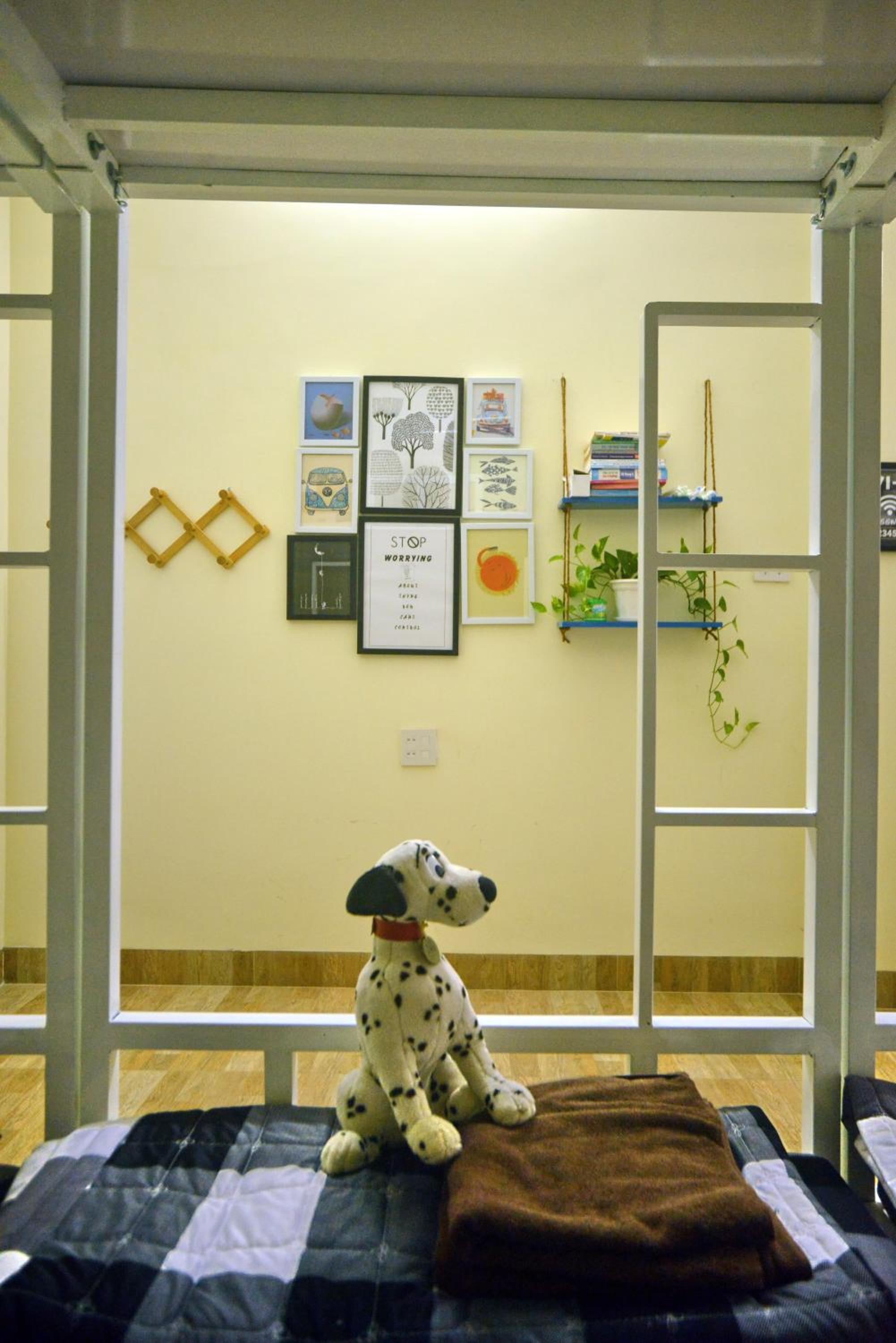 Quy Nhon Homestay BnB