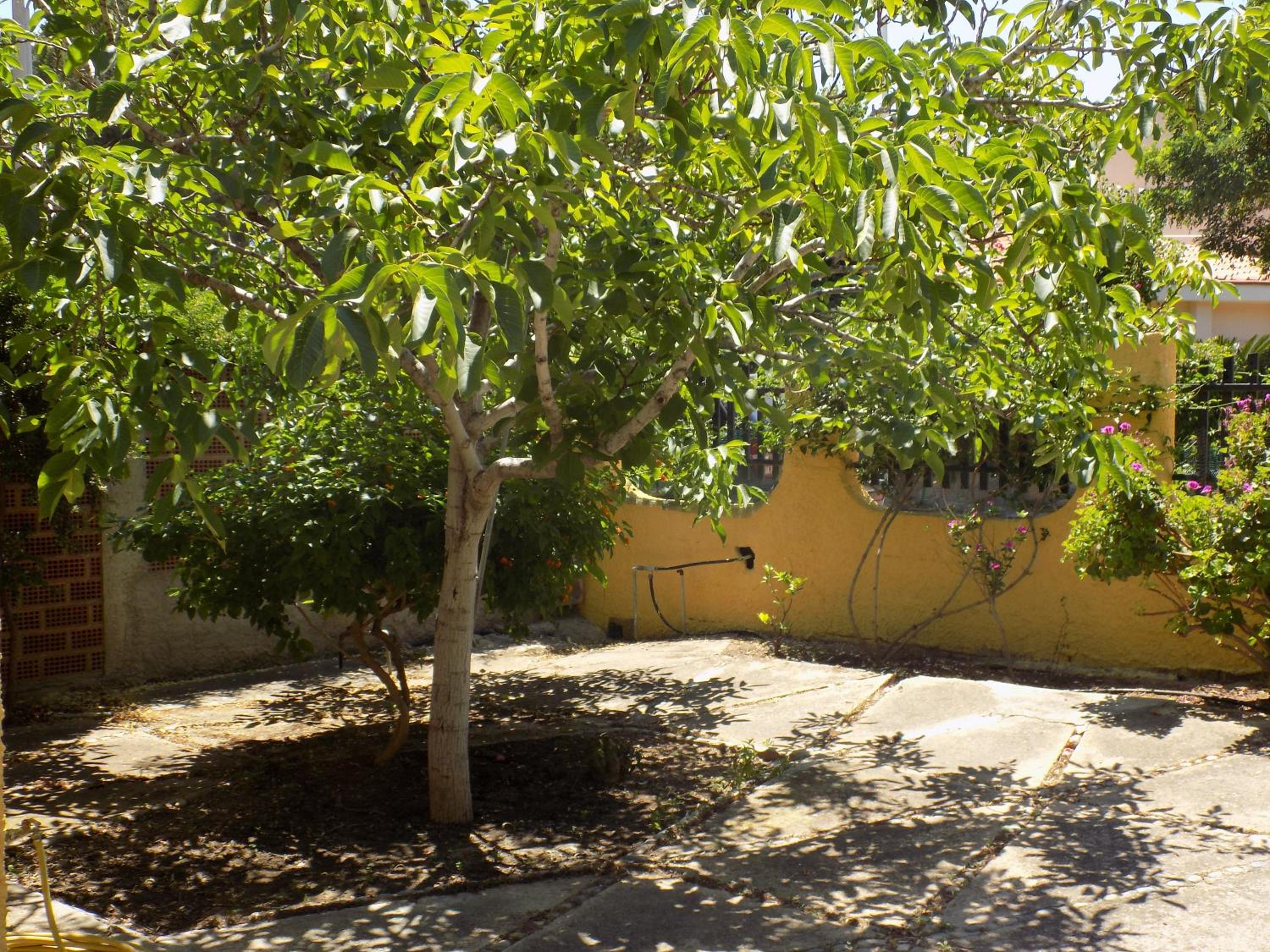 Casa Vacanze Gardenia view 5