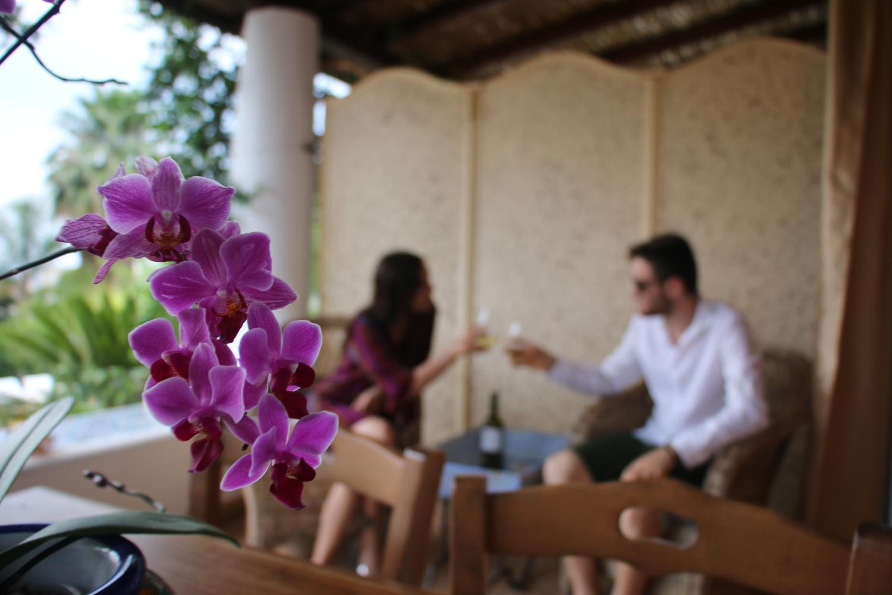 Villa Agrumeto photo 5