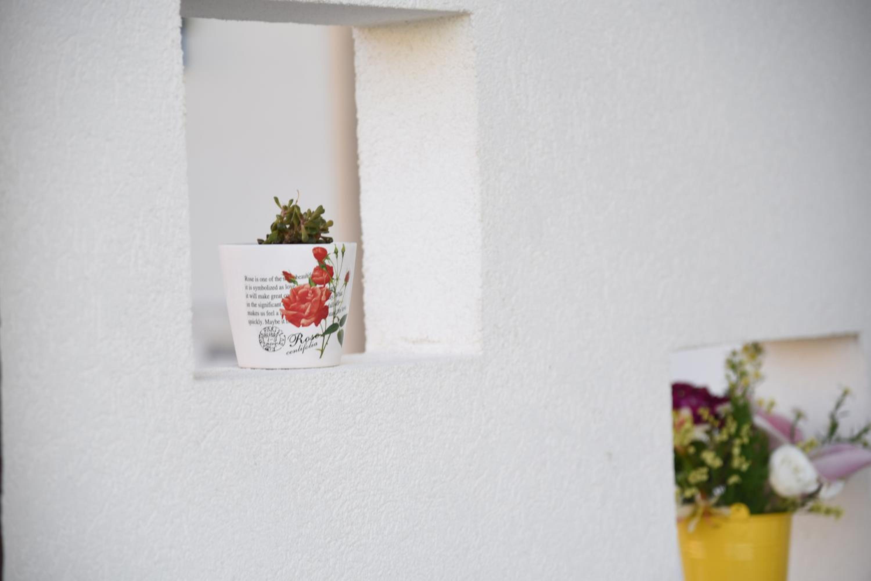 B&B Il FIORONE