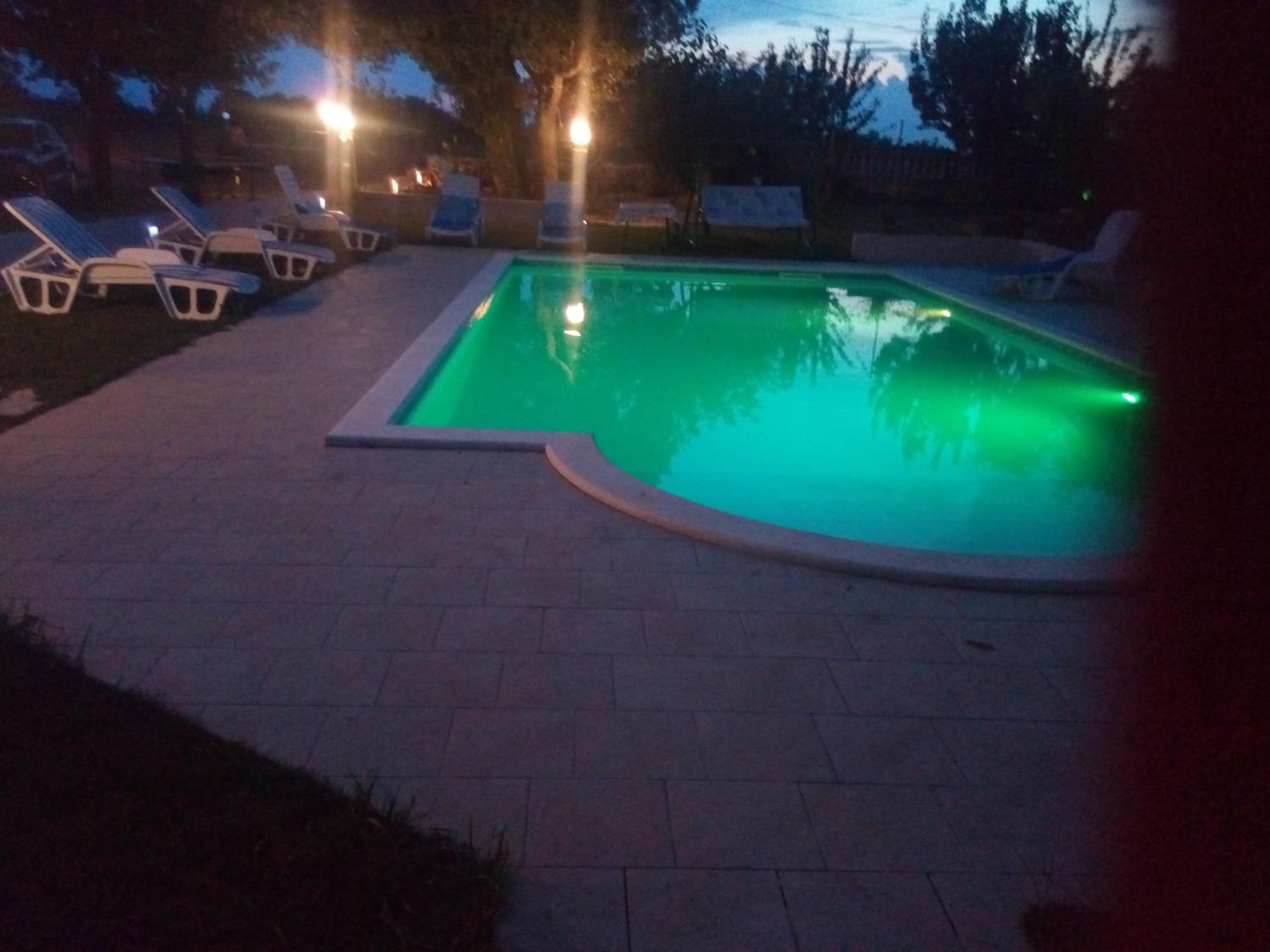 Photo 46
