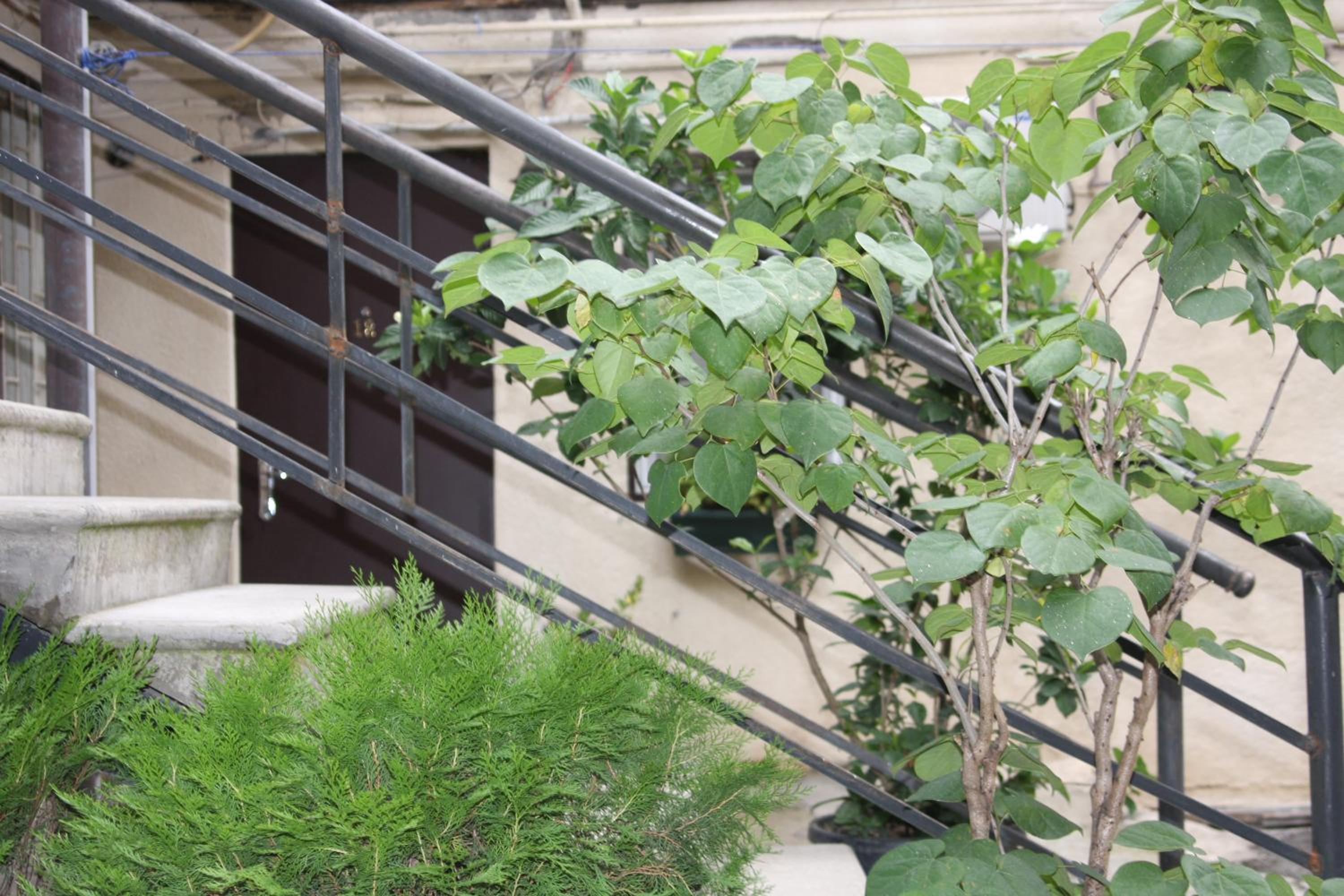 Opera Apartment Very Heart Of Tbilisi view 4