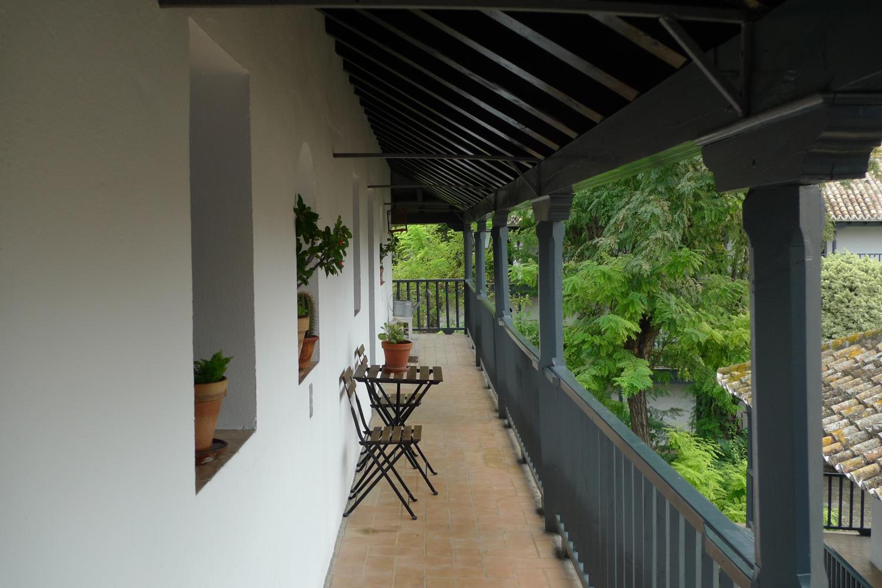 Andalusian Courtyard