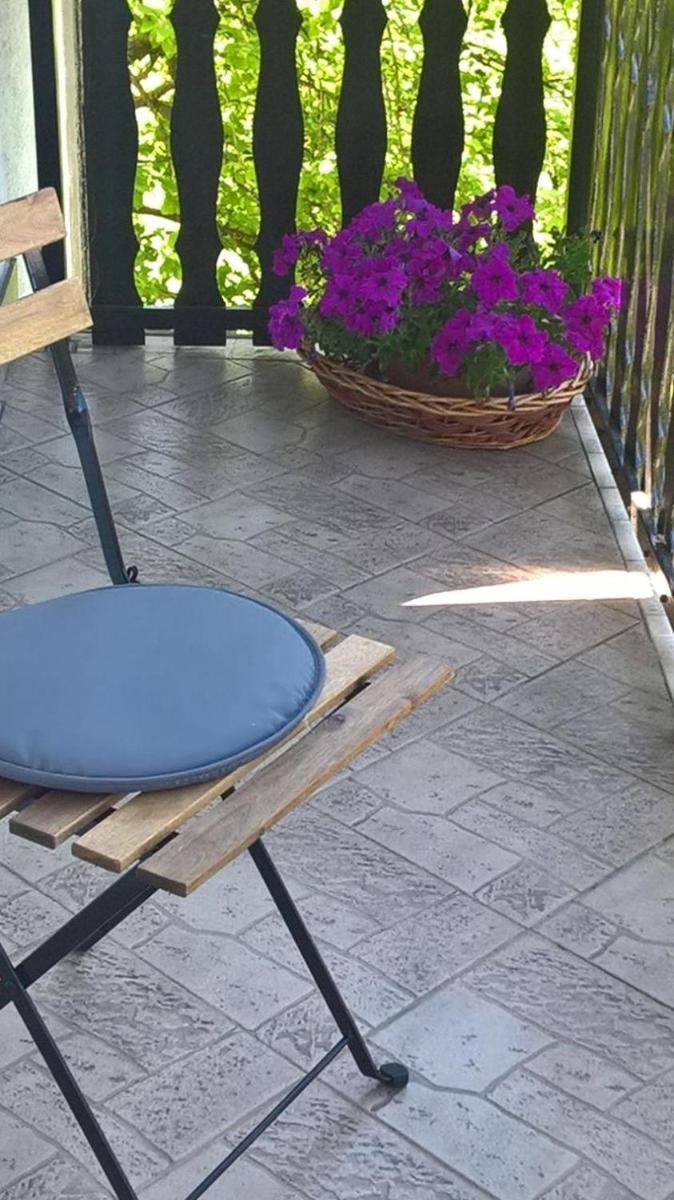 Apartman Ružica view 4