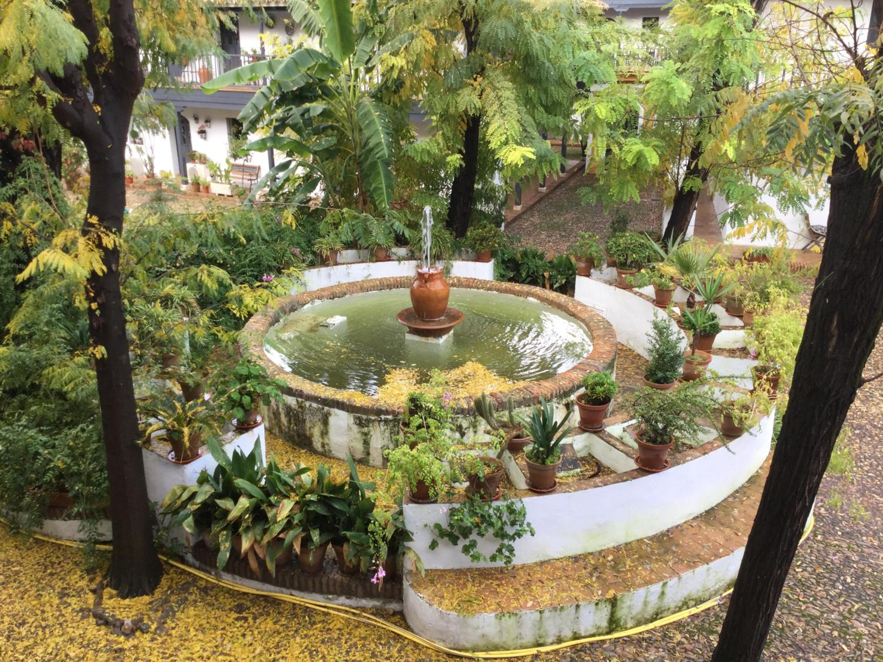 Andalusian Courtyard
