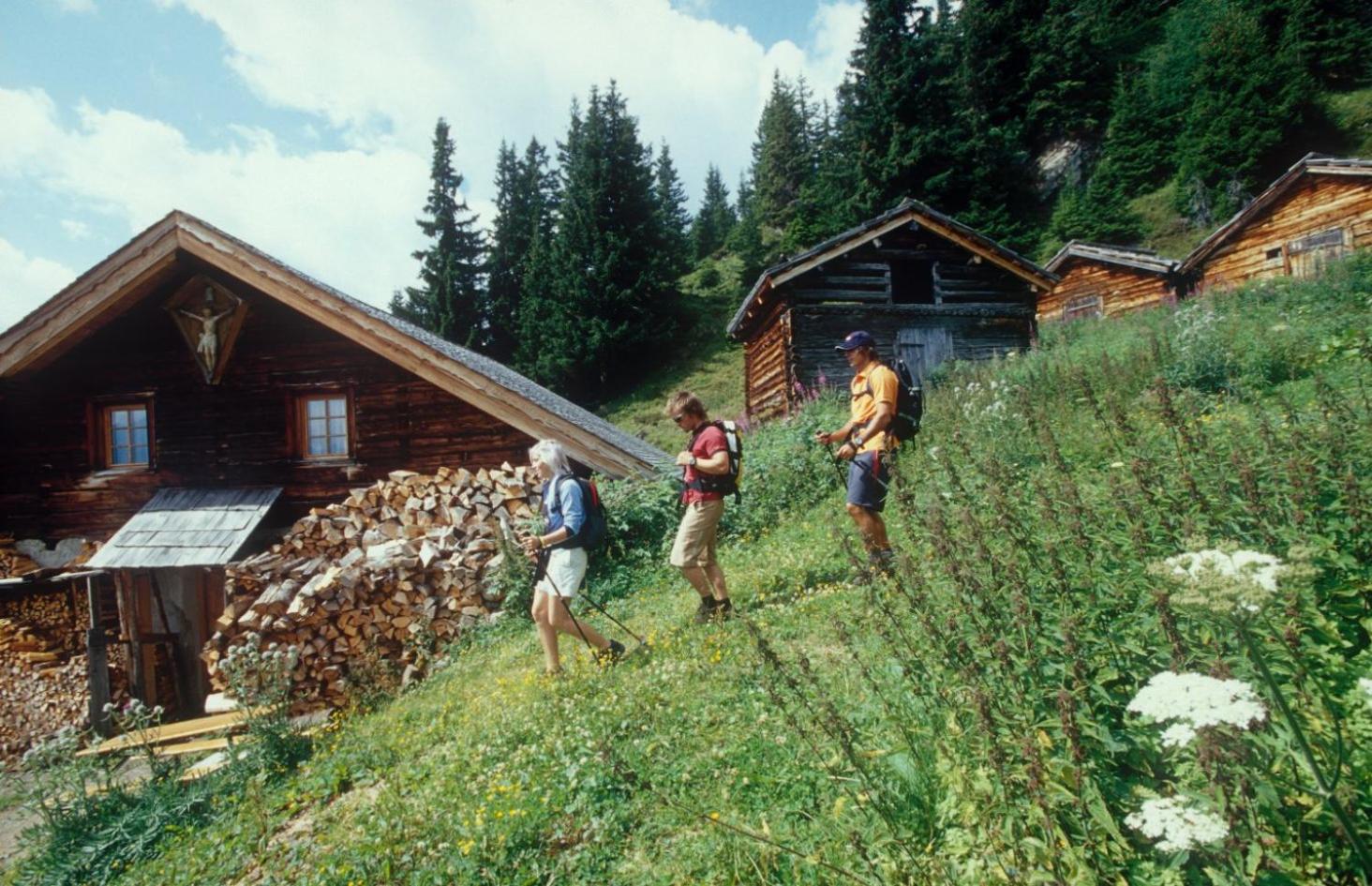Photo 44