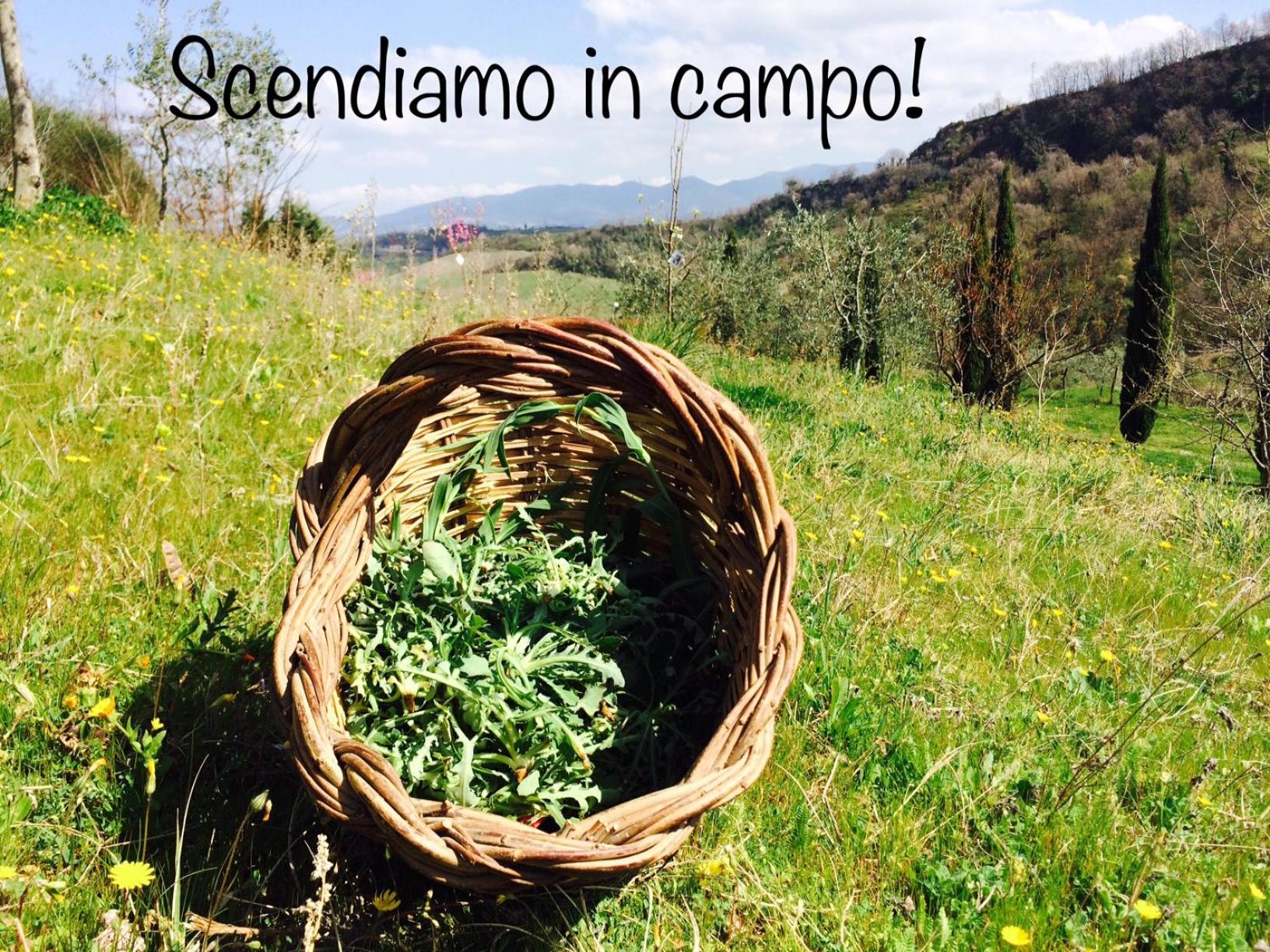 Bio Agriturismo Valle dei Calanchi