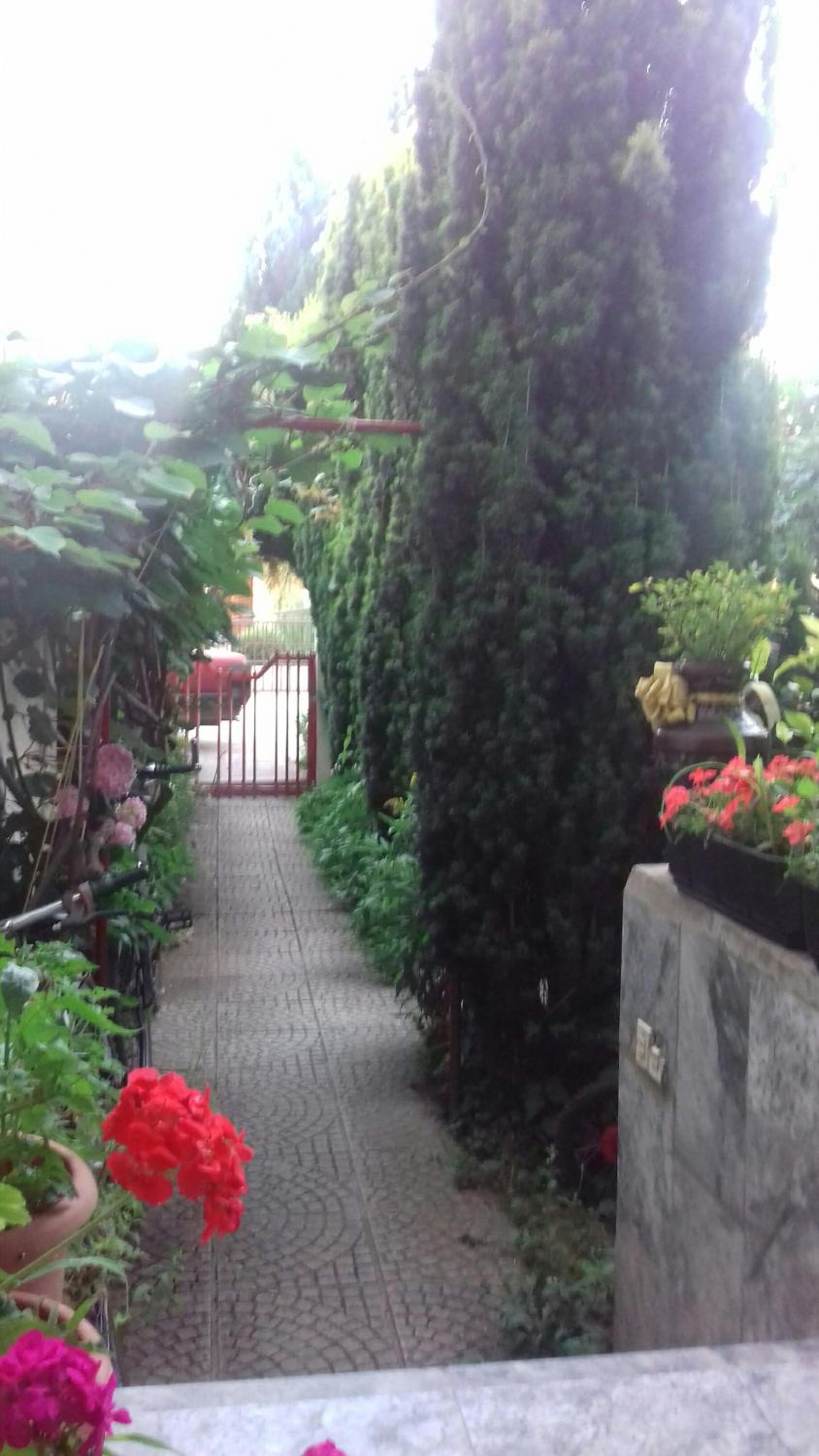 Teo Apartments
