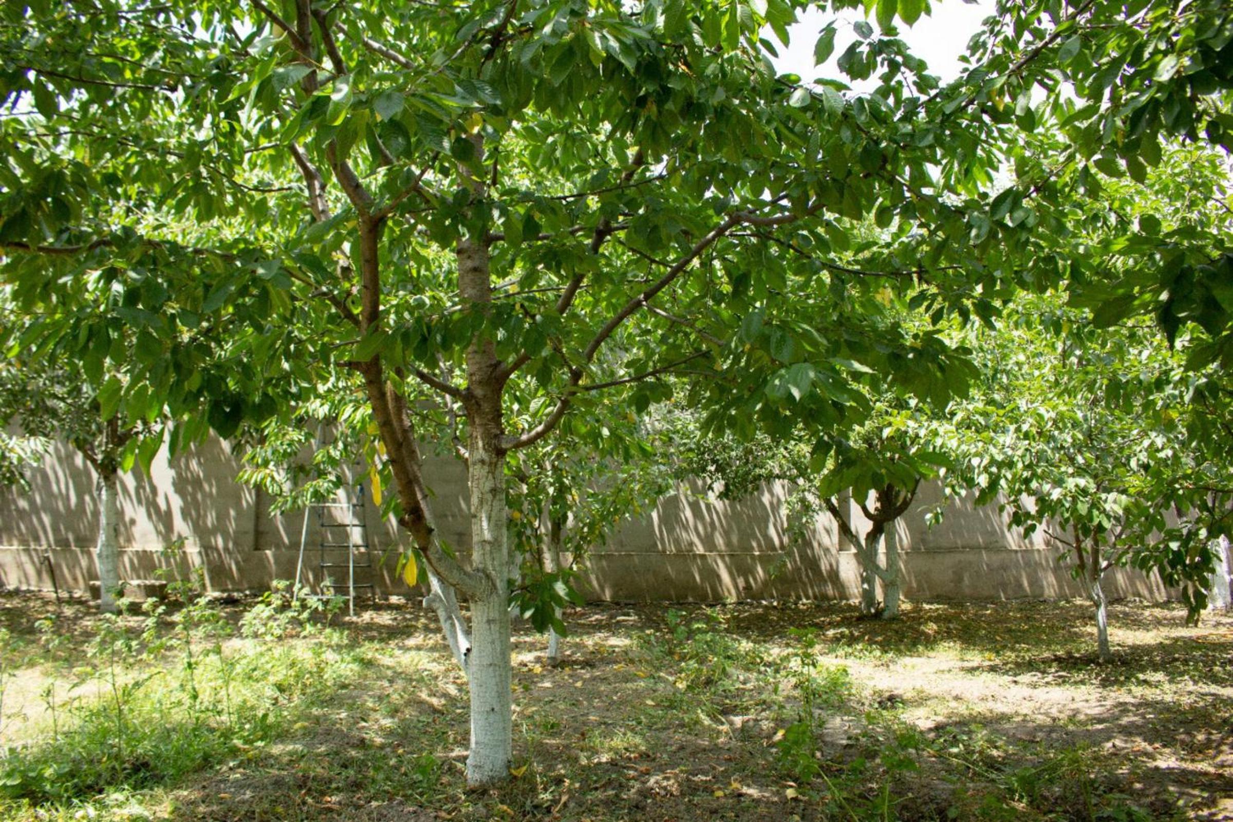 other