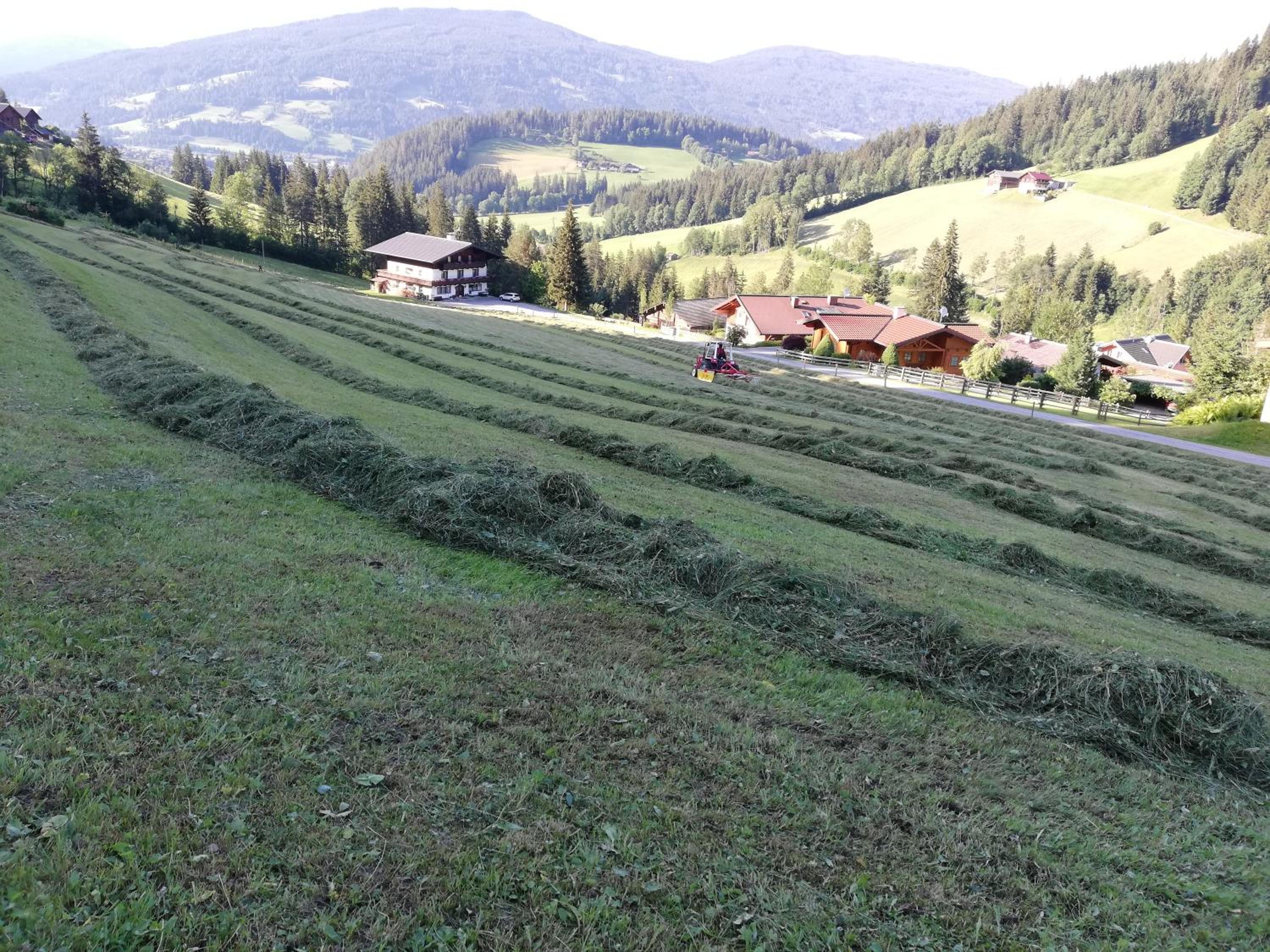 Vorderwiesgut