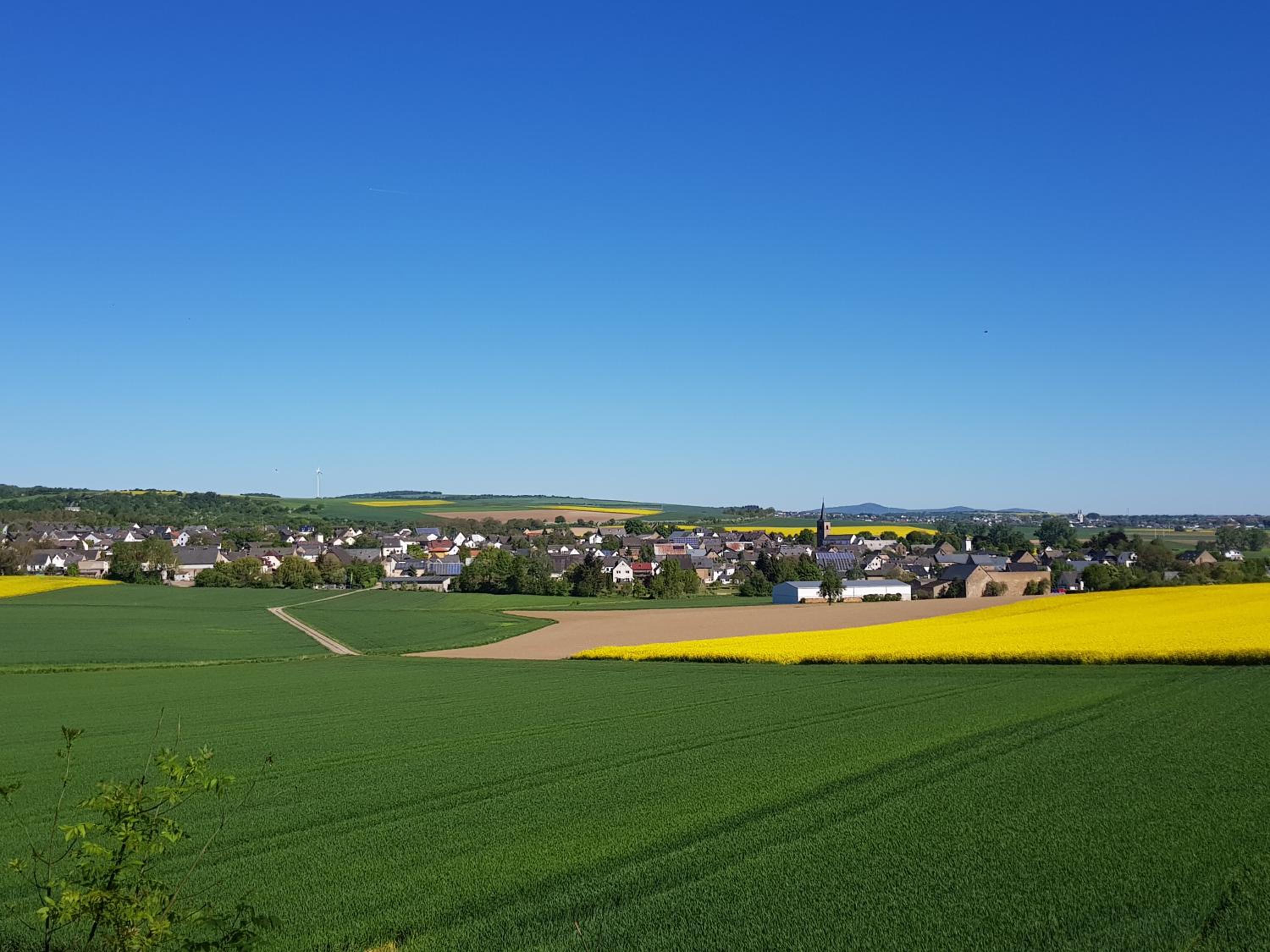 Ferienwohnung Hedi view 5