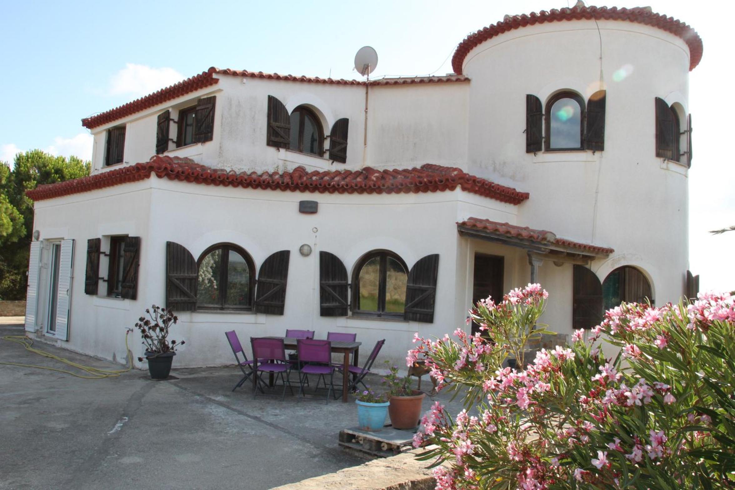 Photo 8