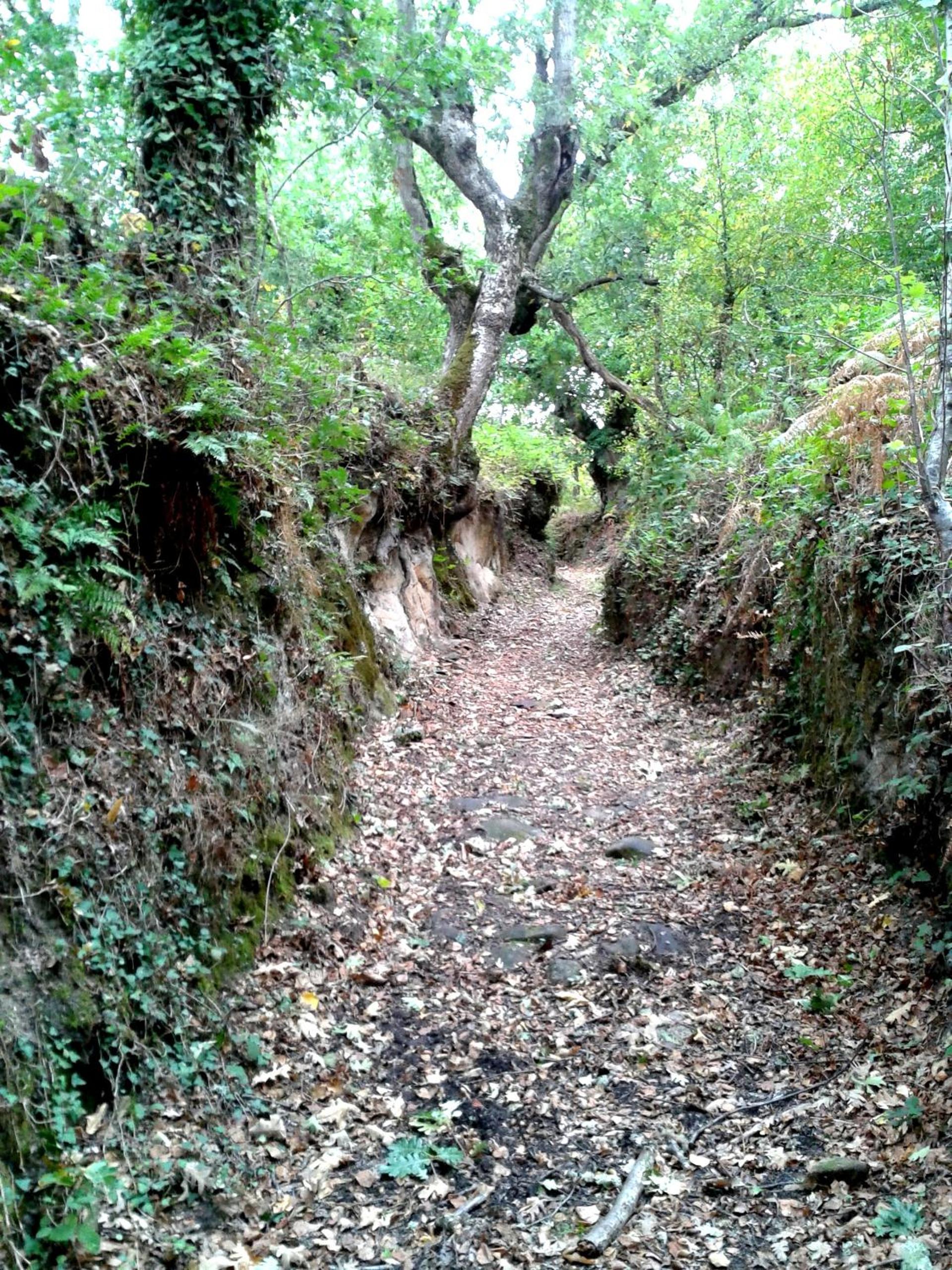 Photo 47