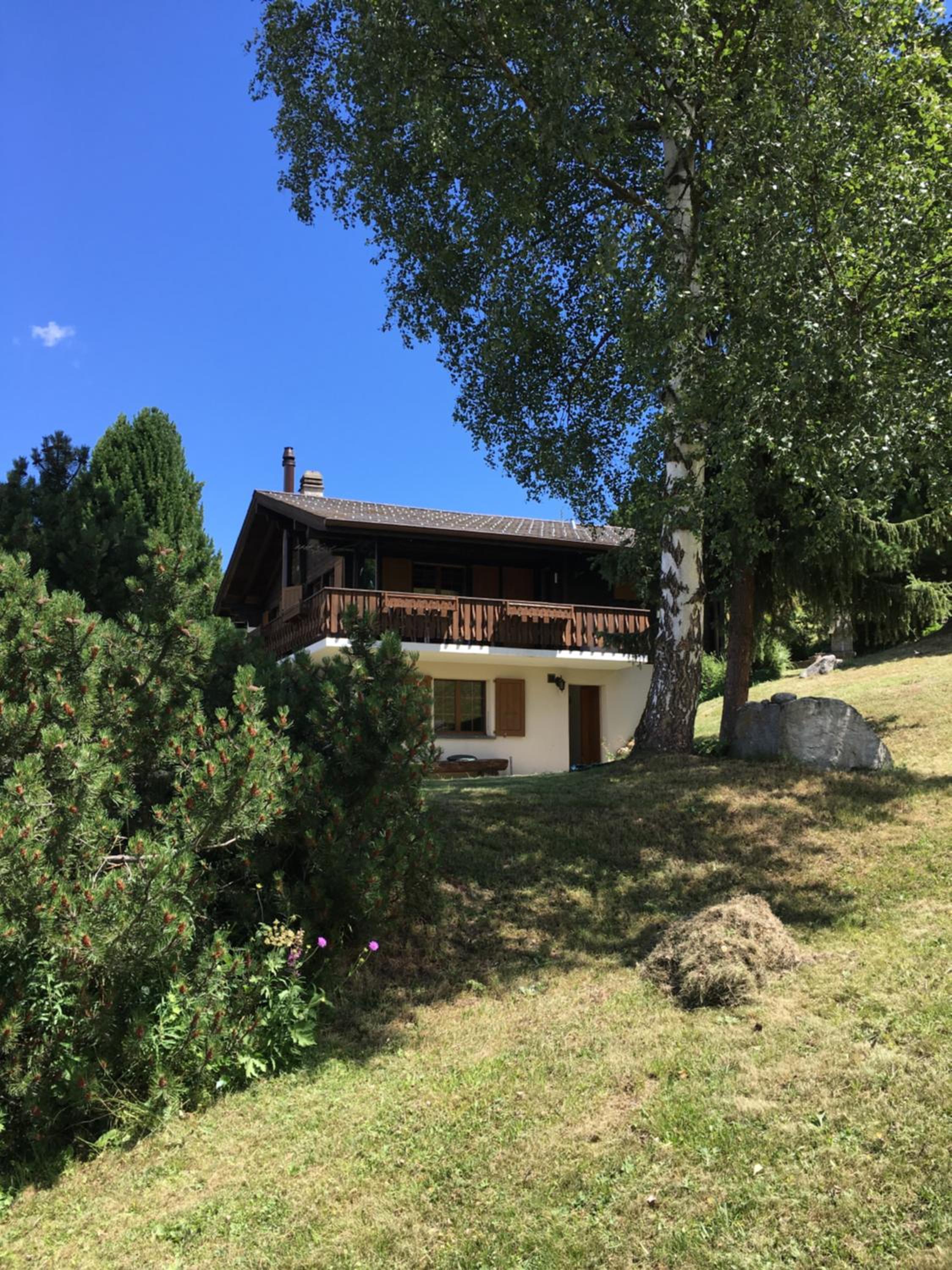 Photo 17