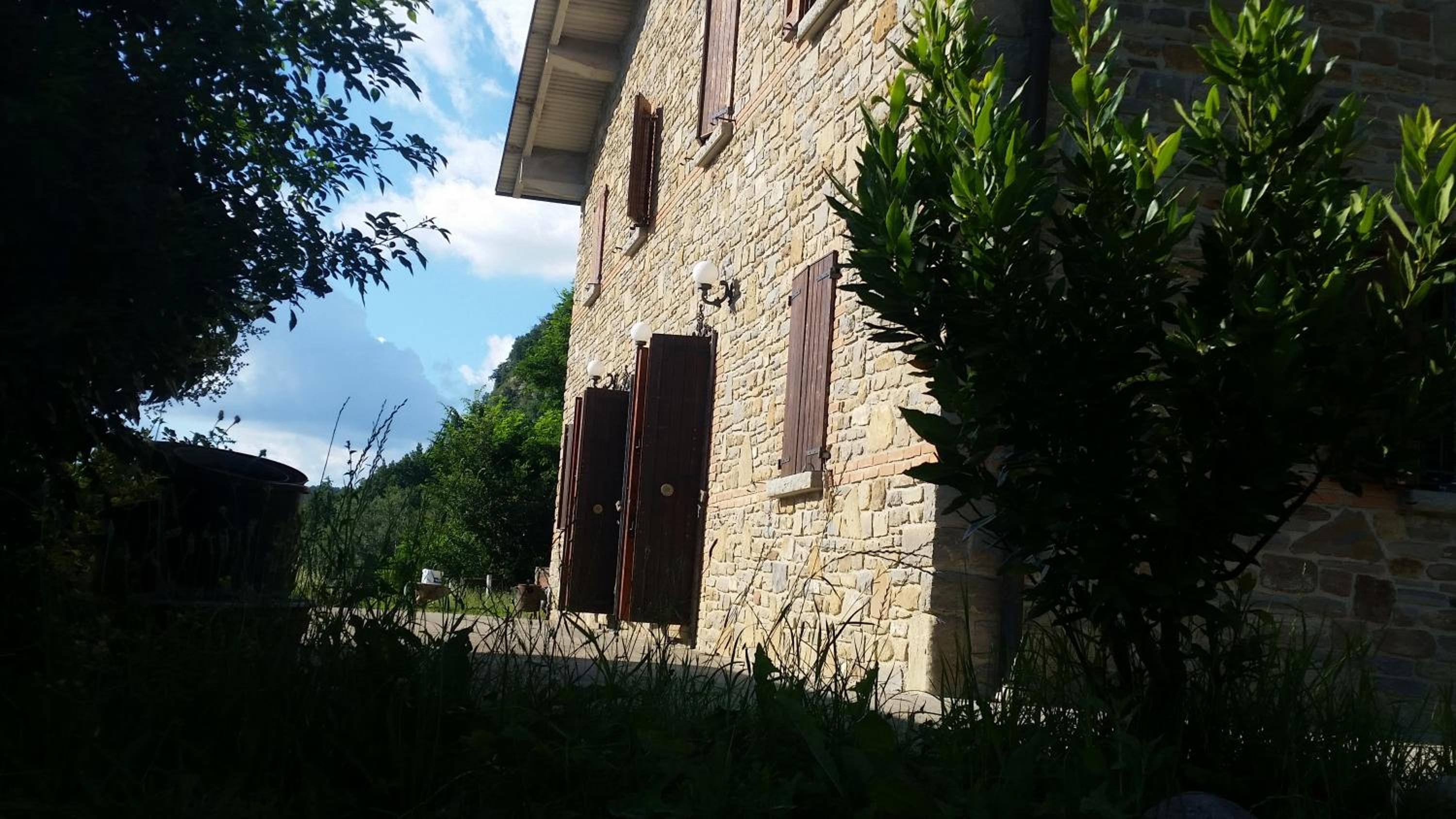 Photo 12
