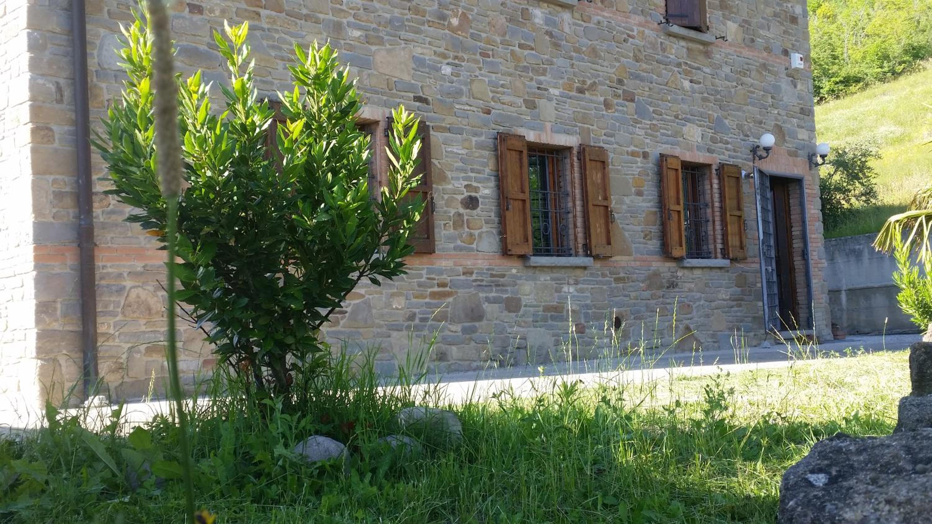 Photo 11