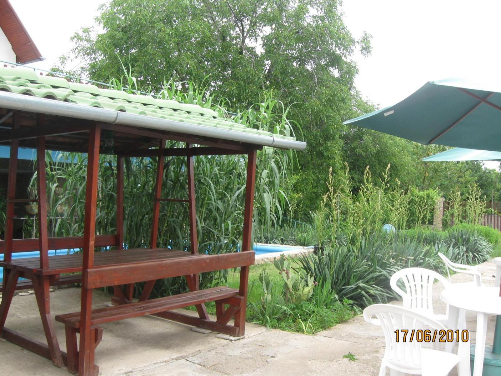 Photo 20