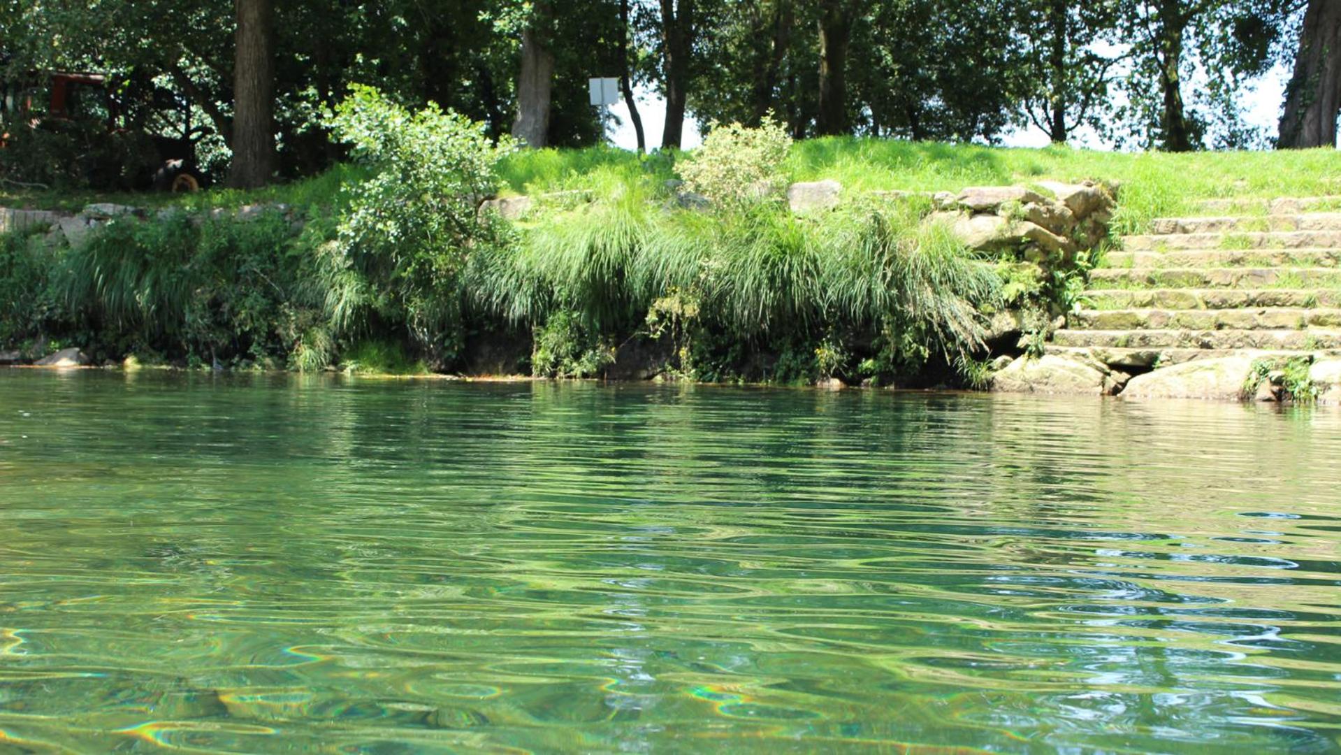 Photo 59