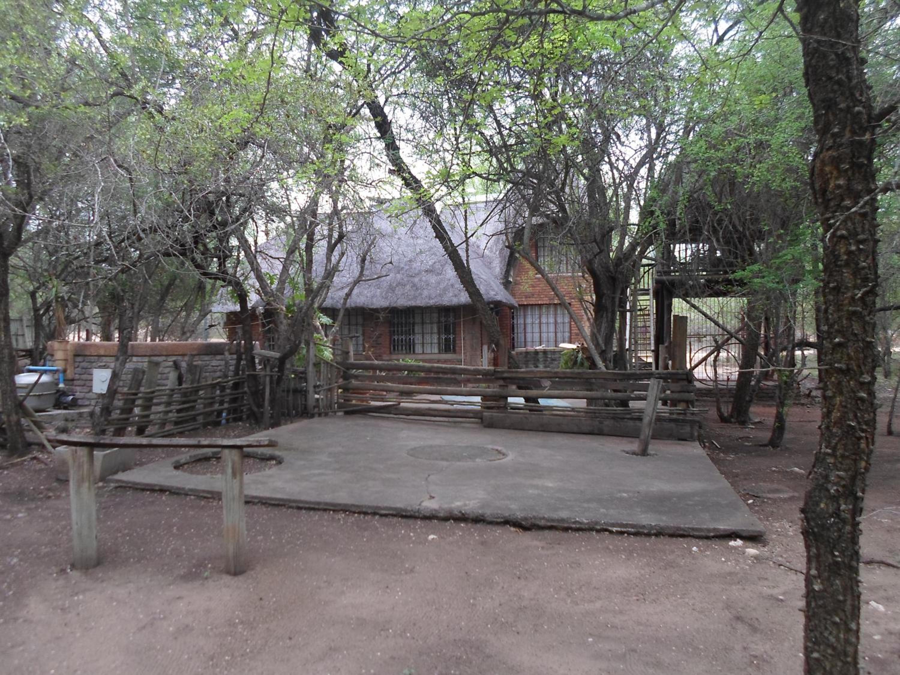 Photo 13