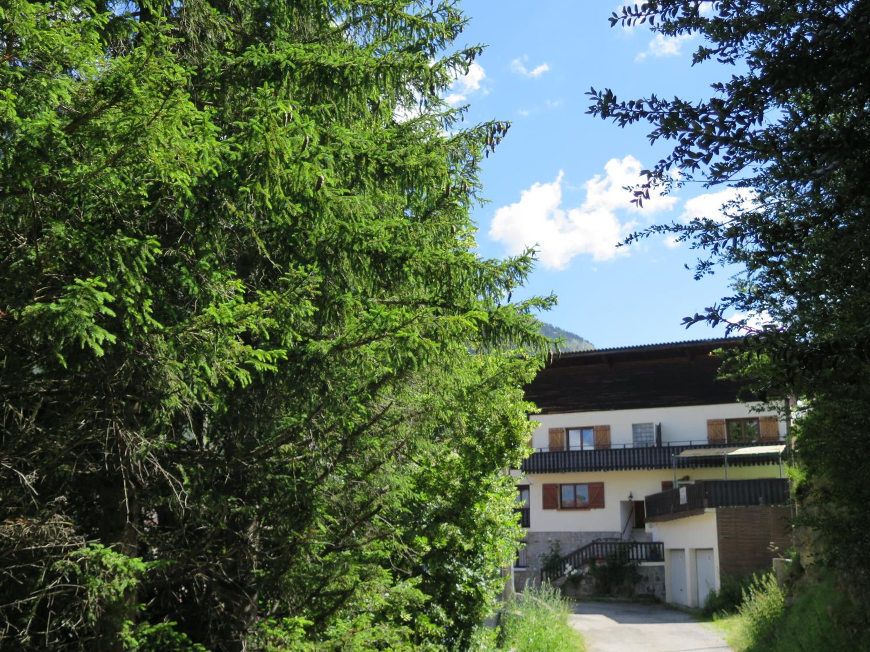 Photo 12