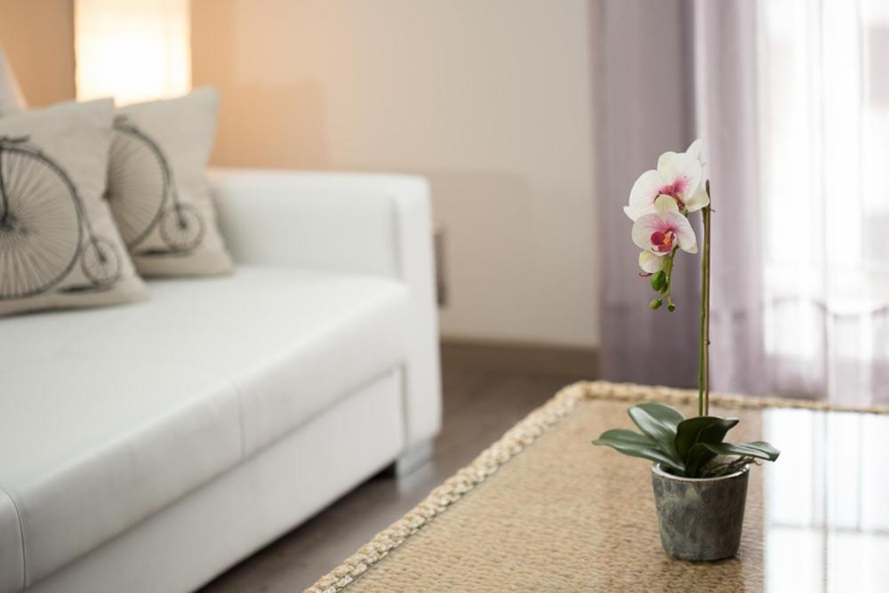 Apartamentos Dacris