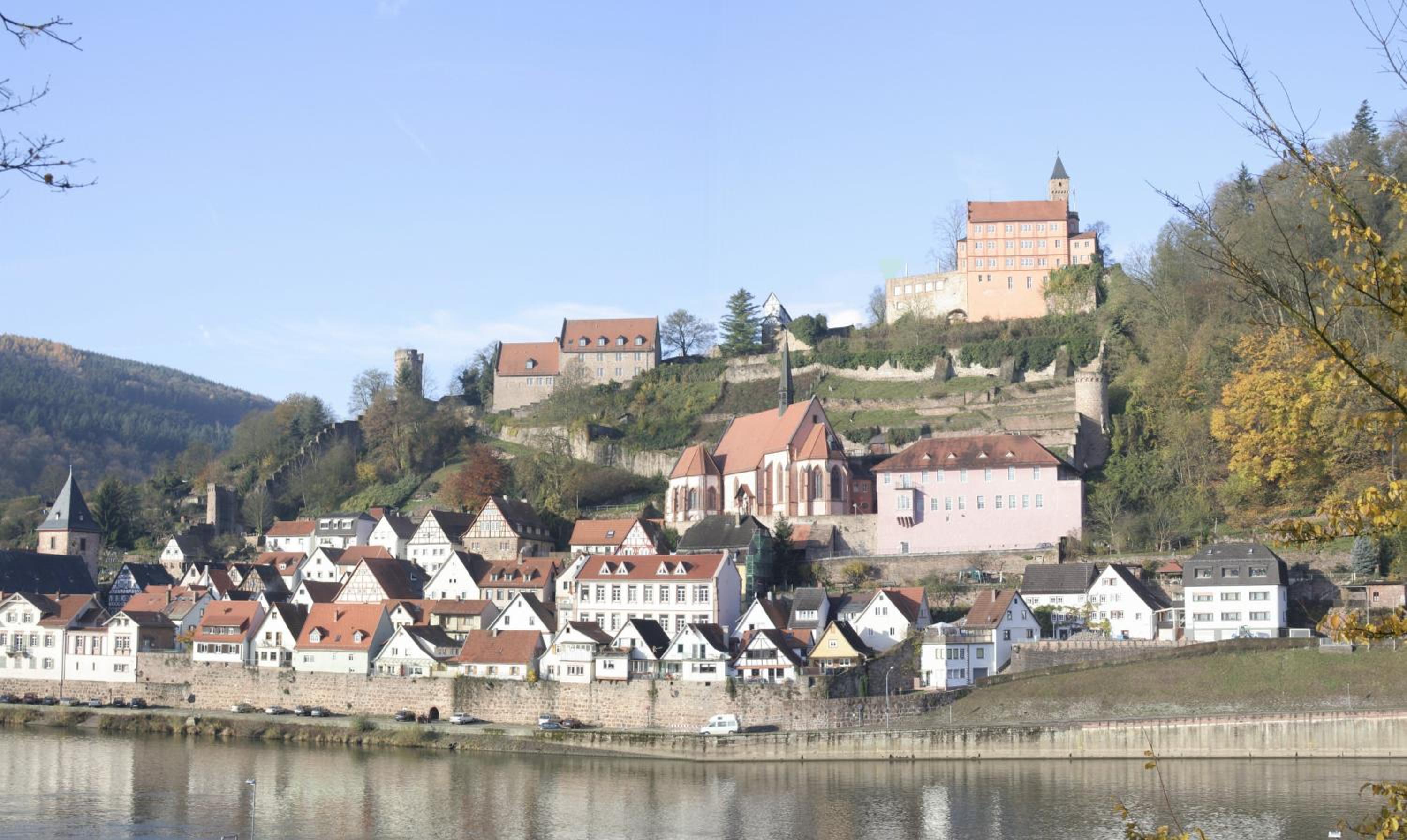 Ferienwohnung Christel Hirschhorn-Neckar