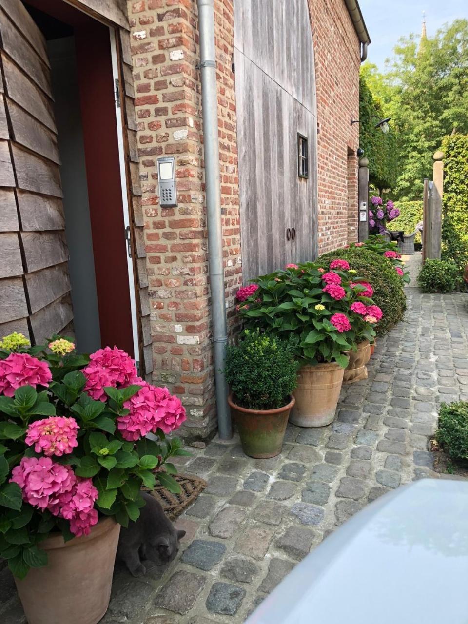 Guesthouse Villa Vauban