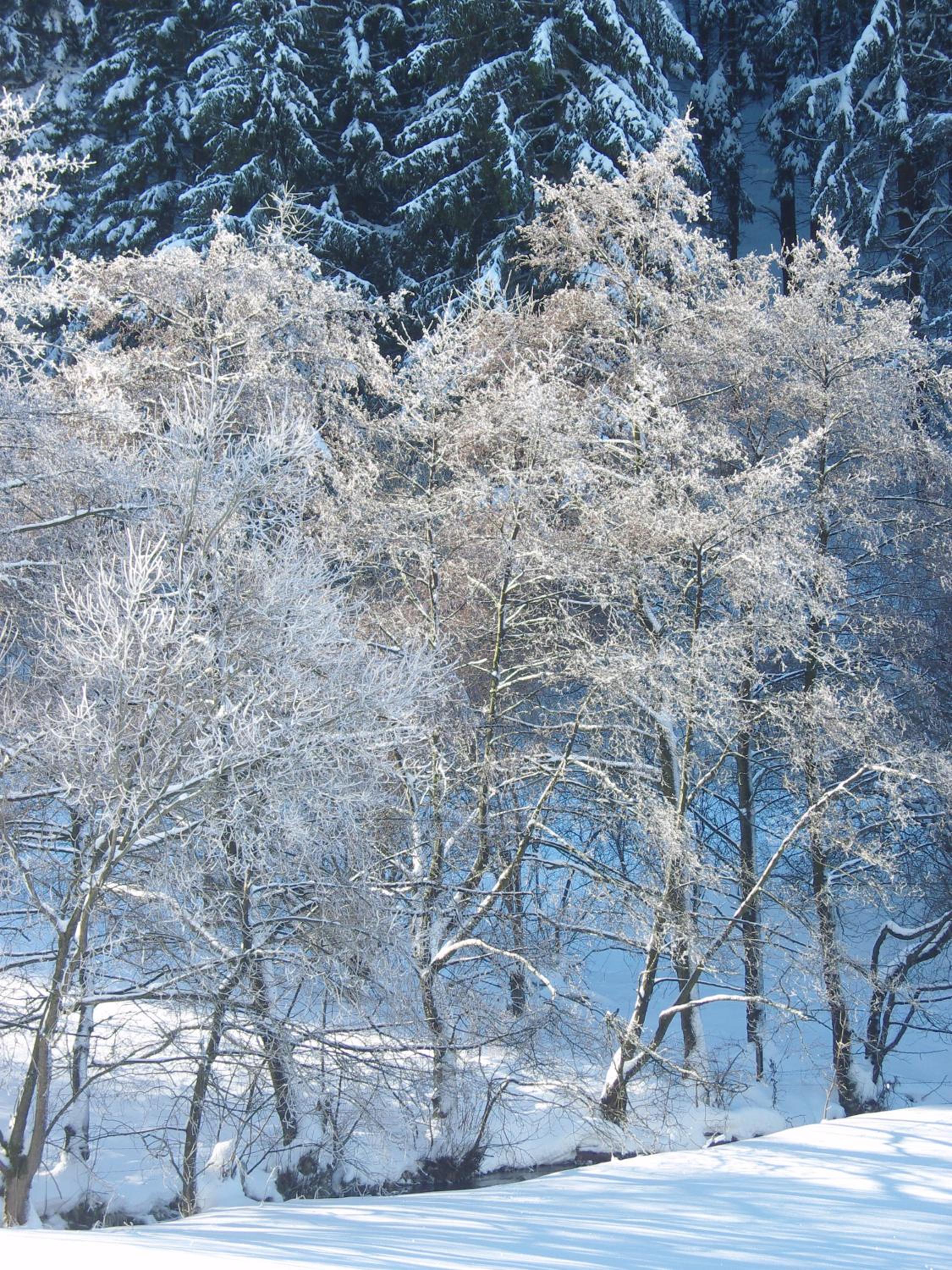 Birgits Landhaus Willingen view 5
