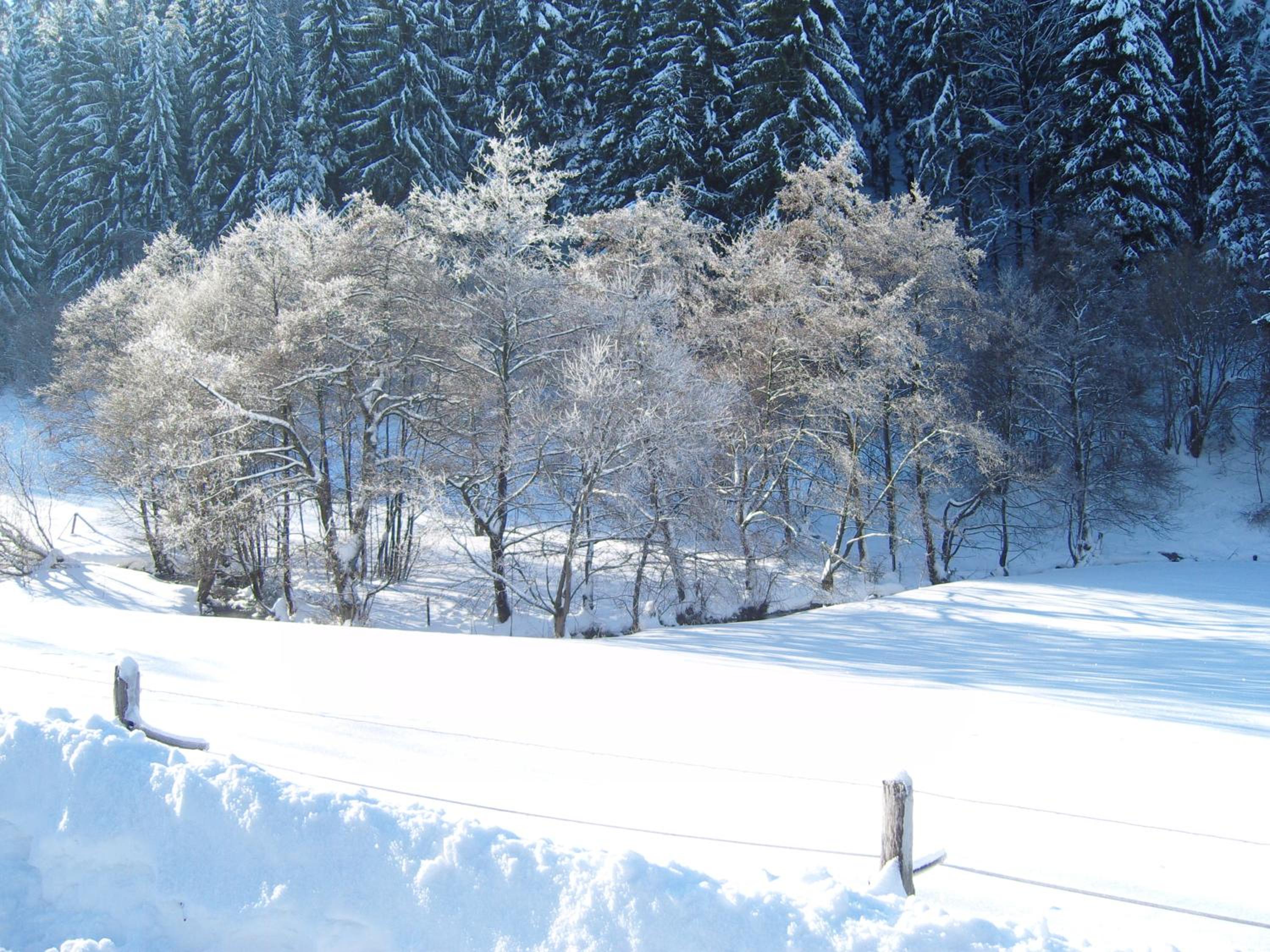 Birgits Landhaus Willingen view 3