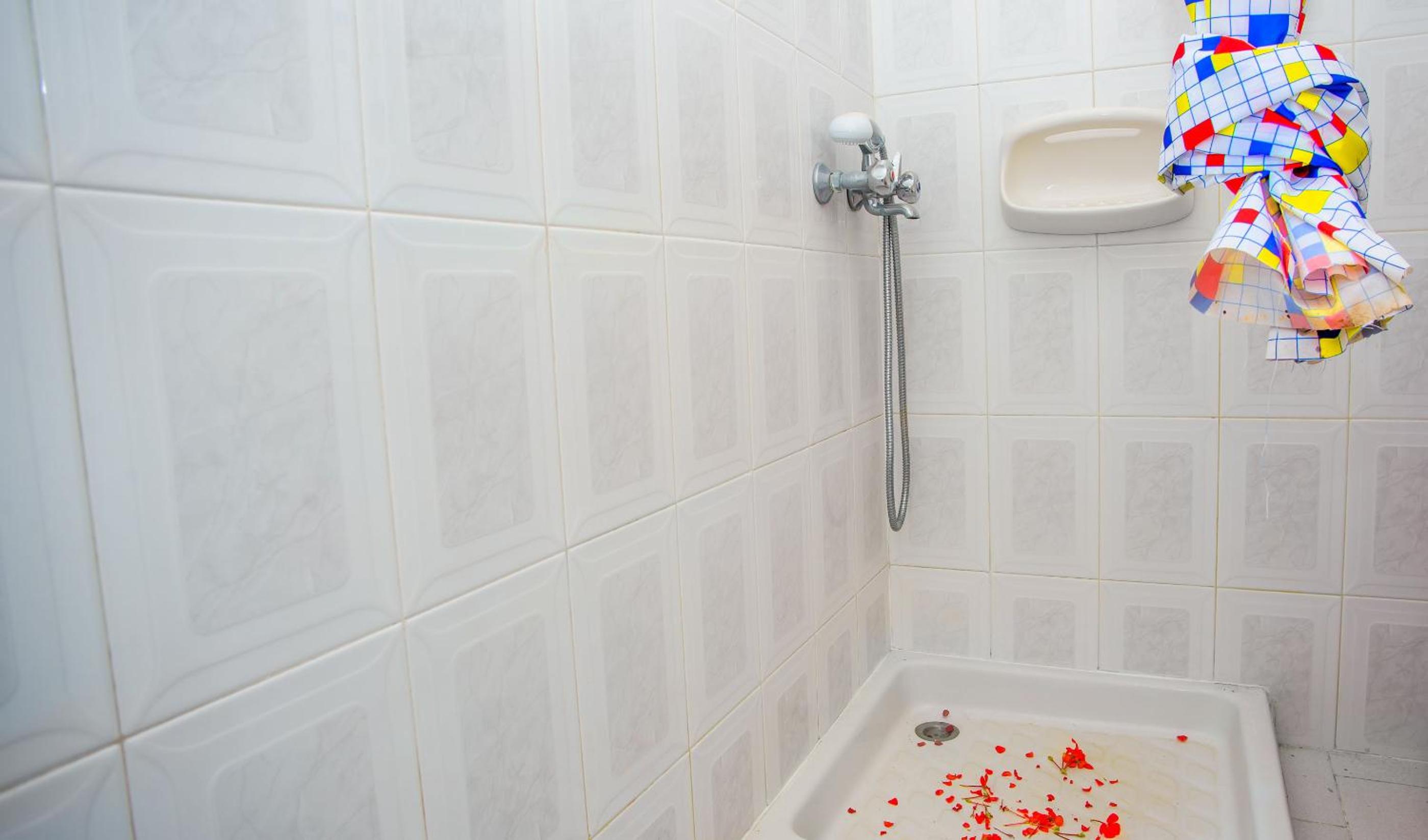 Haus Manya in Lassy photo 5